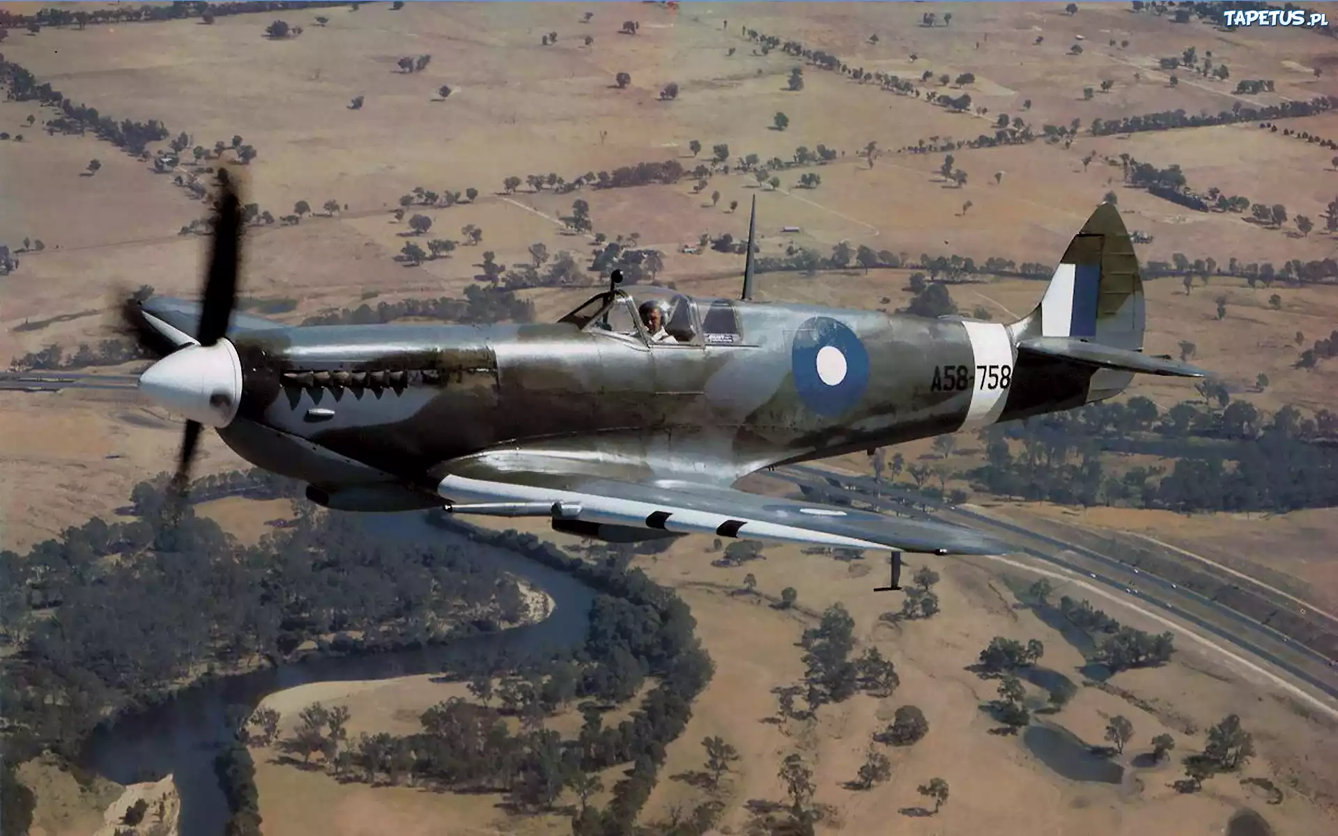 Supermarine Spitfire Mk VIII