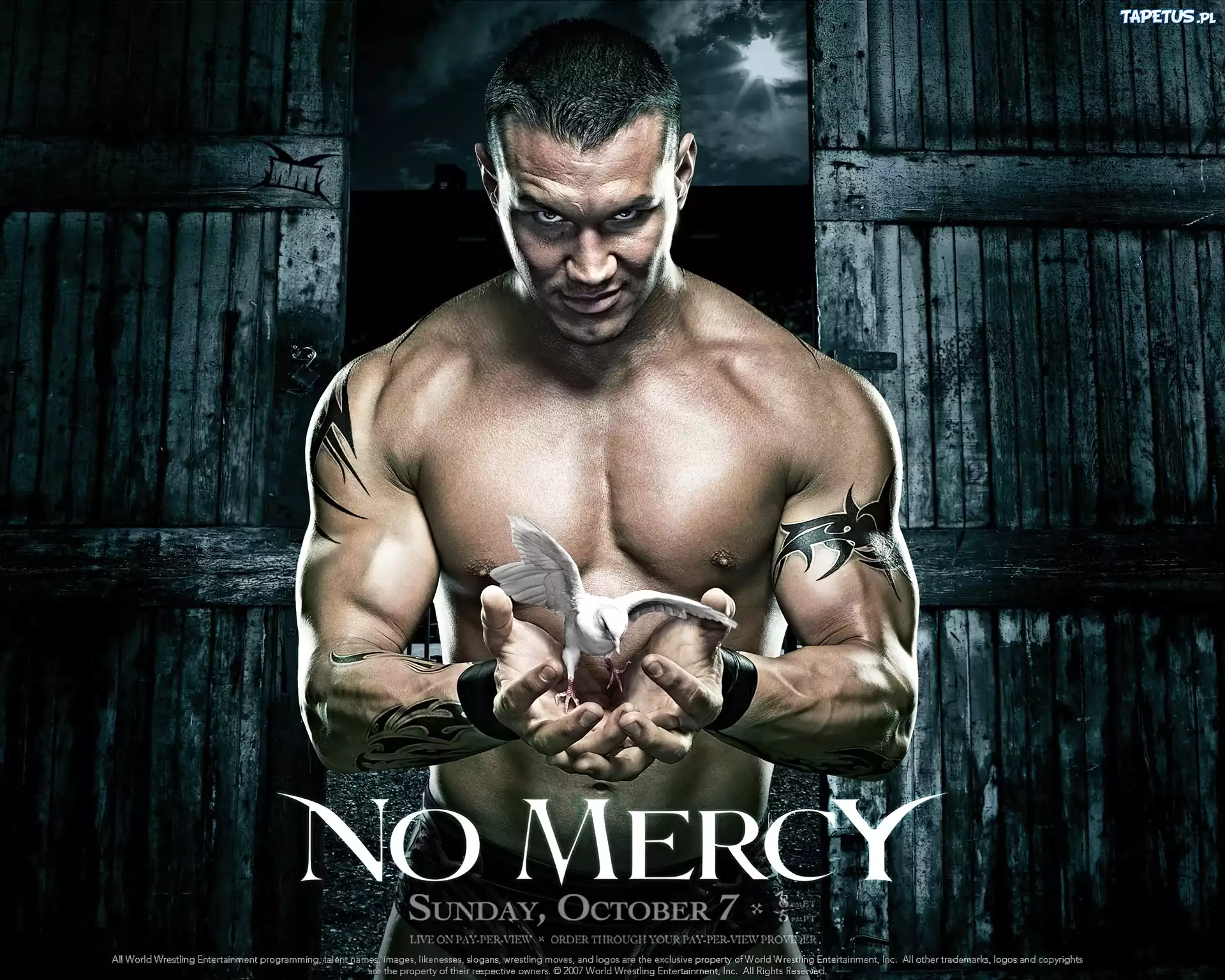 Randy Orton