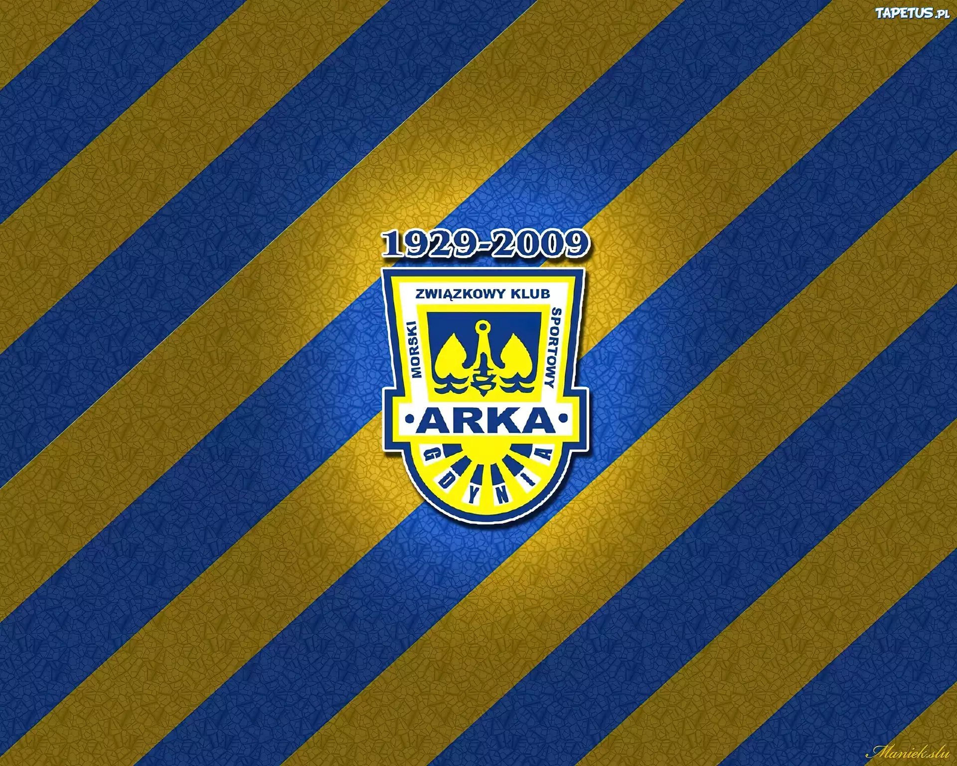 MZKS Arka Gdynia, Herb