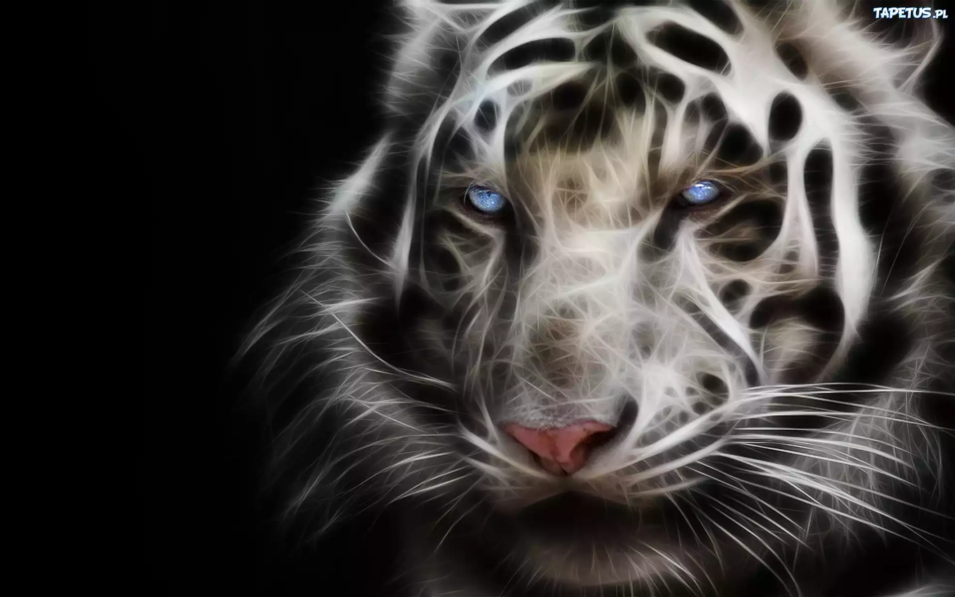 Biały, Tygrys, 3D