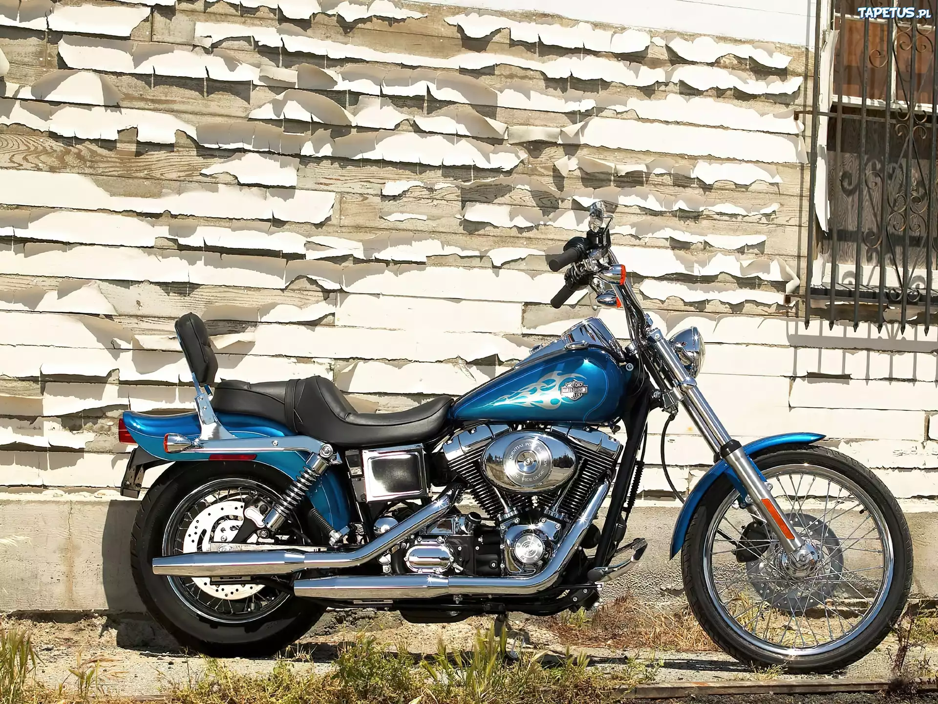 Harley Davidson Dyna Wide Glide, Amortyzator, Oparcie
