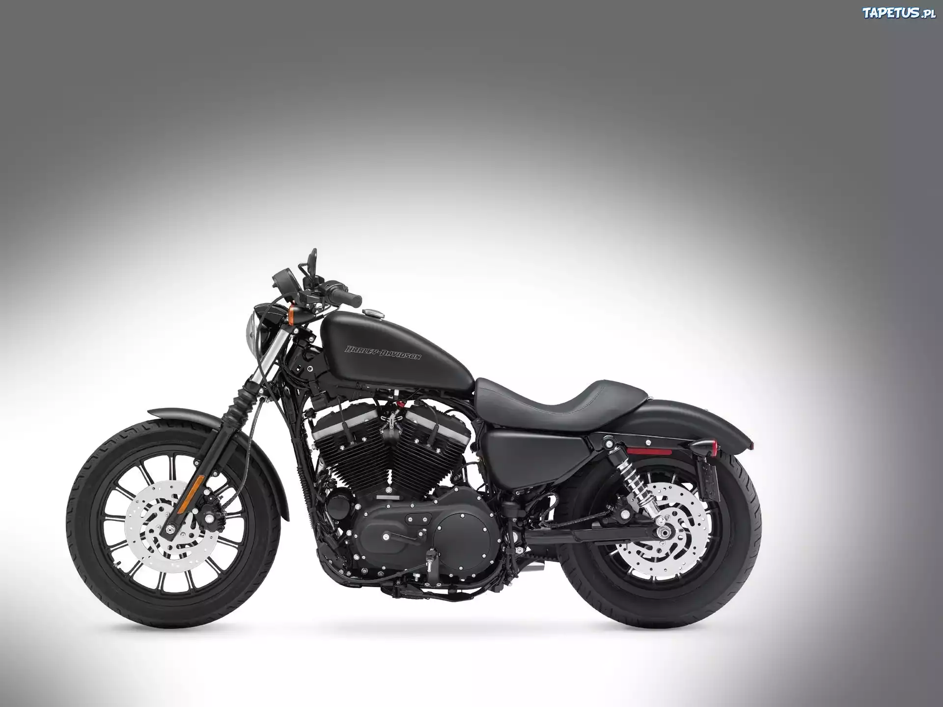 Harley Davidson Sportster Iron 883