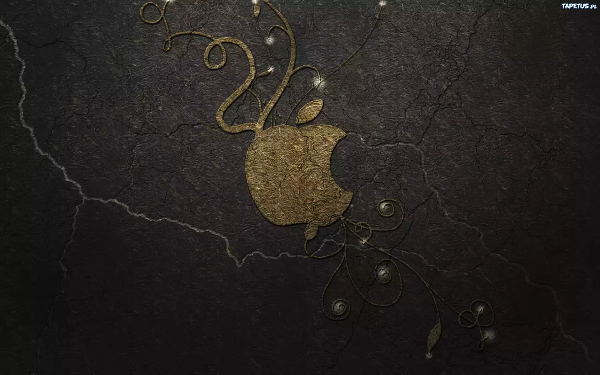 Logo, Apple