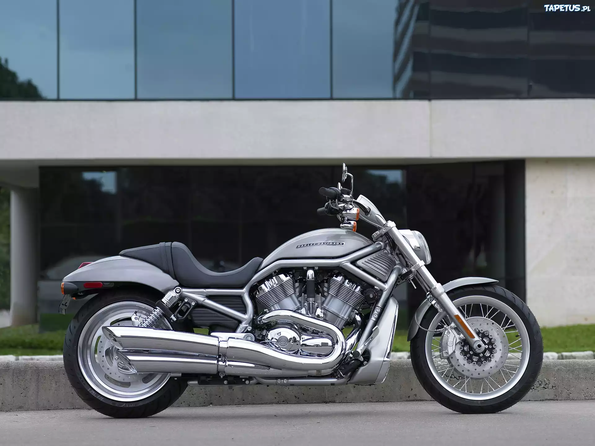 Srebrny, Cruiser, Harley Davidson V-Rod