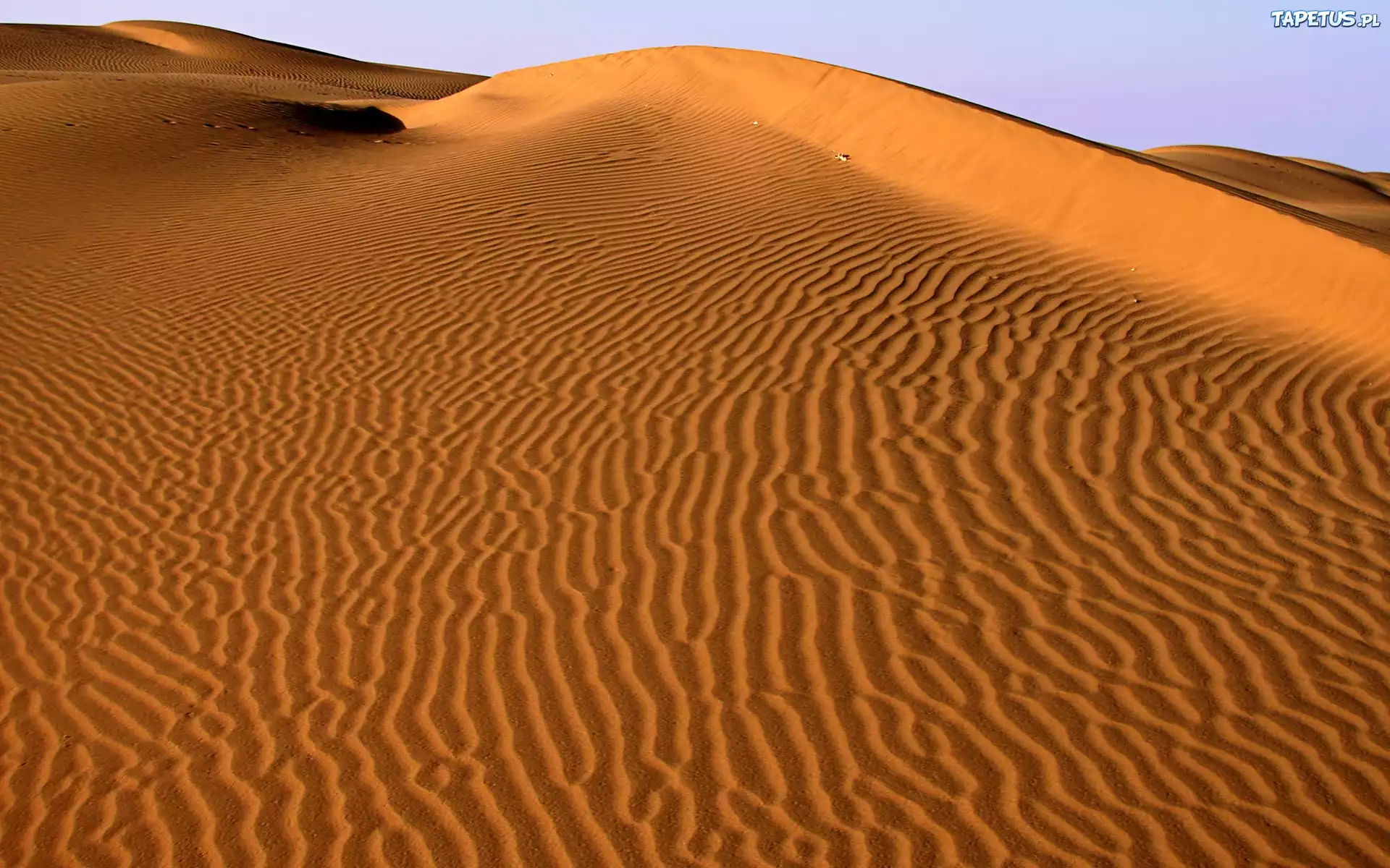 Piaski, Pustynia, Sahara