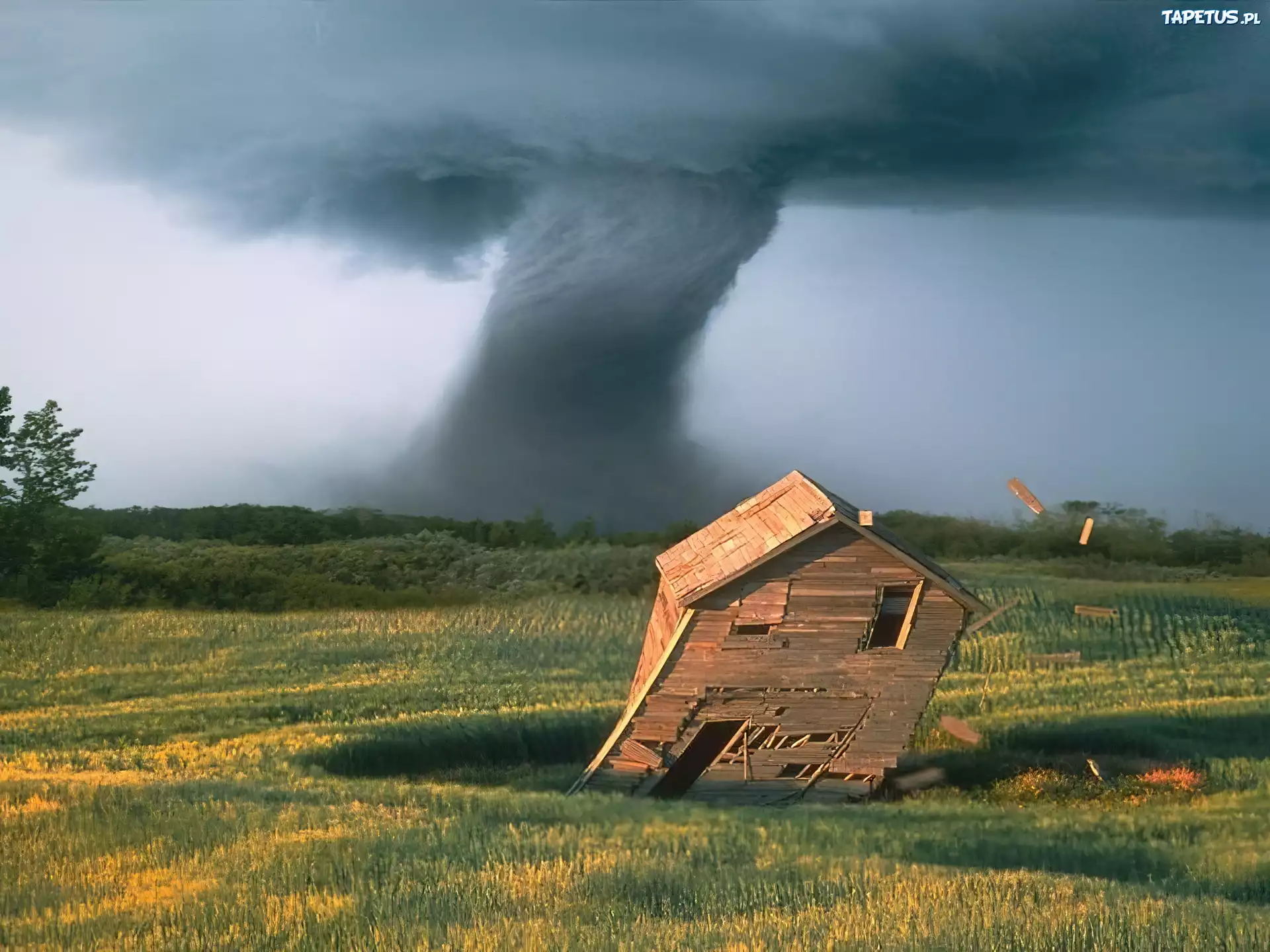 Tornado, Pole, Domek