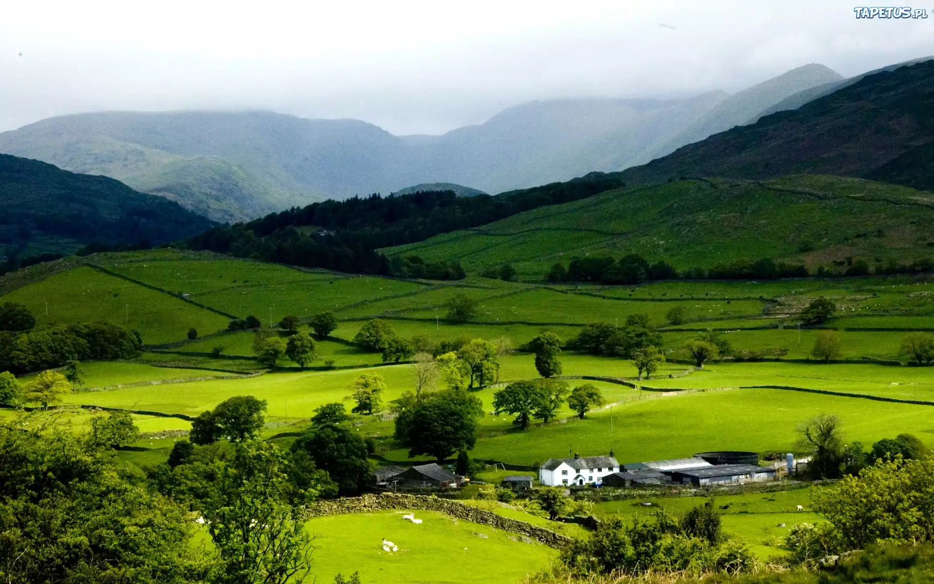 Wioska, Grasmere, Anglia, Wielka, Brytania