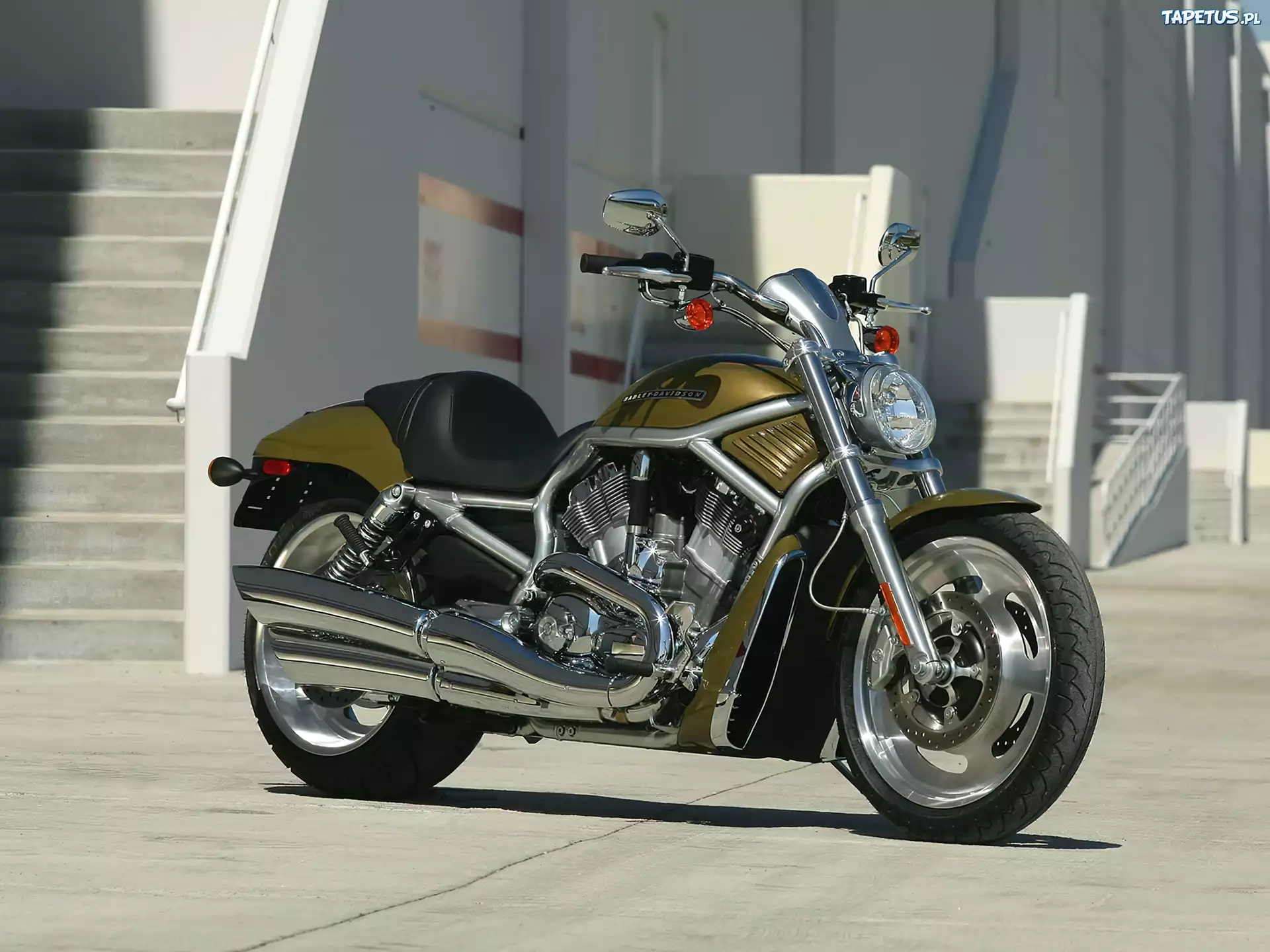 Oliwkowy, Harley Davidson V-Rod