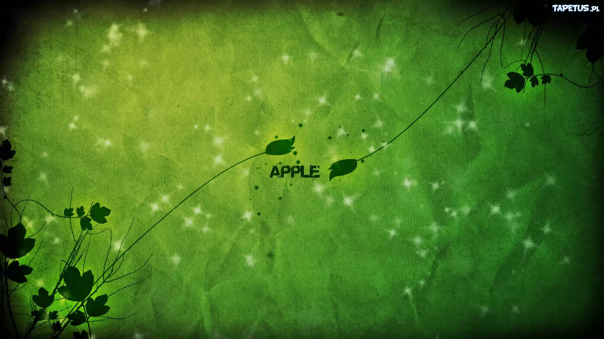Producent, Apple, Rośliny