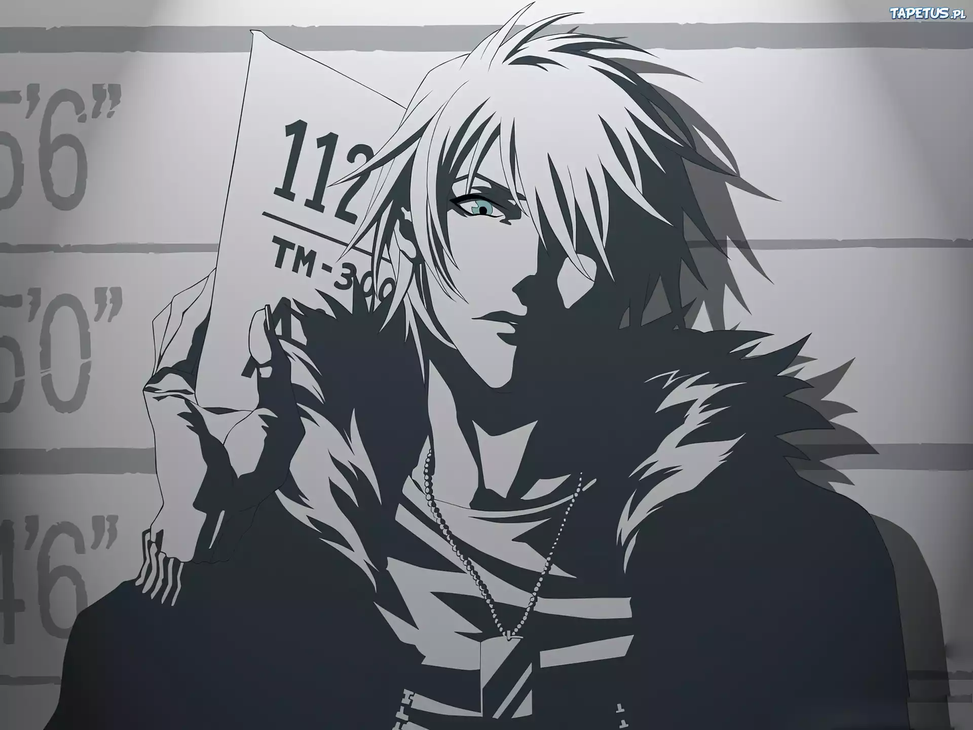 Poszukiwany, Ichigo, Kurosaki