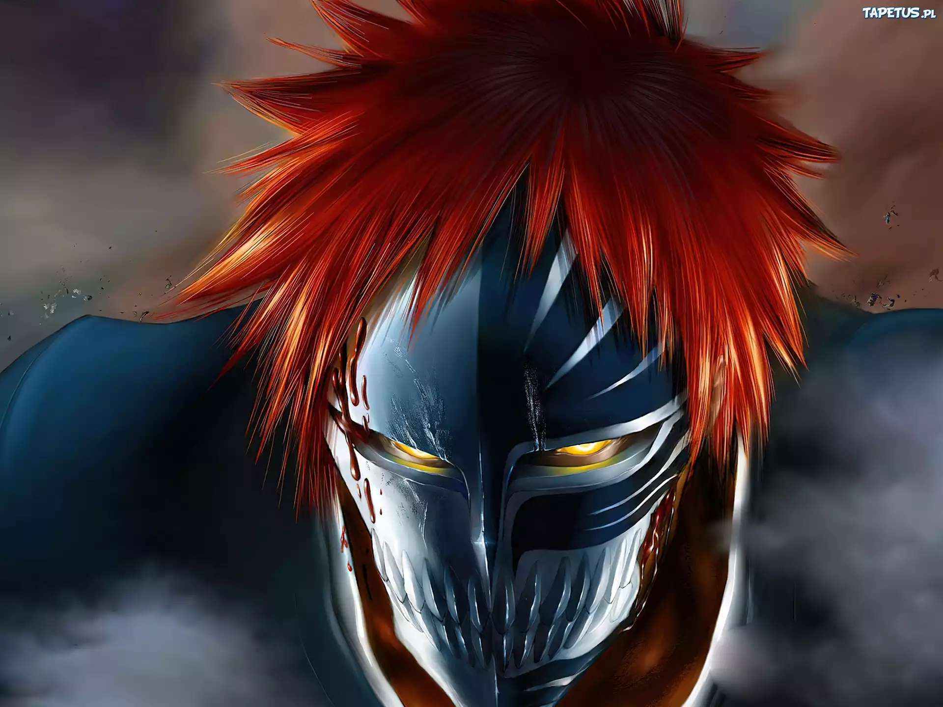 Ichigo, Hollofikacja