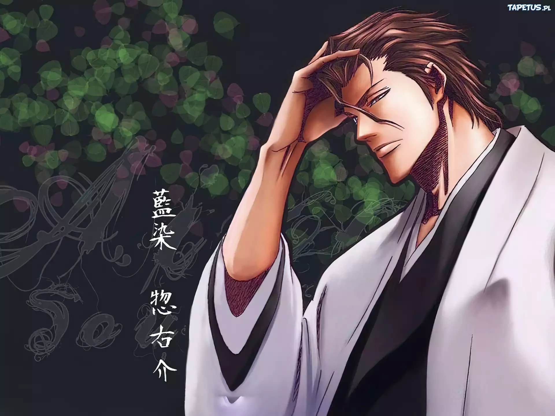 Aizen, Sosuke, Ex, Shinigami