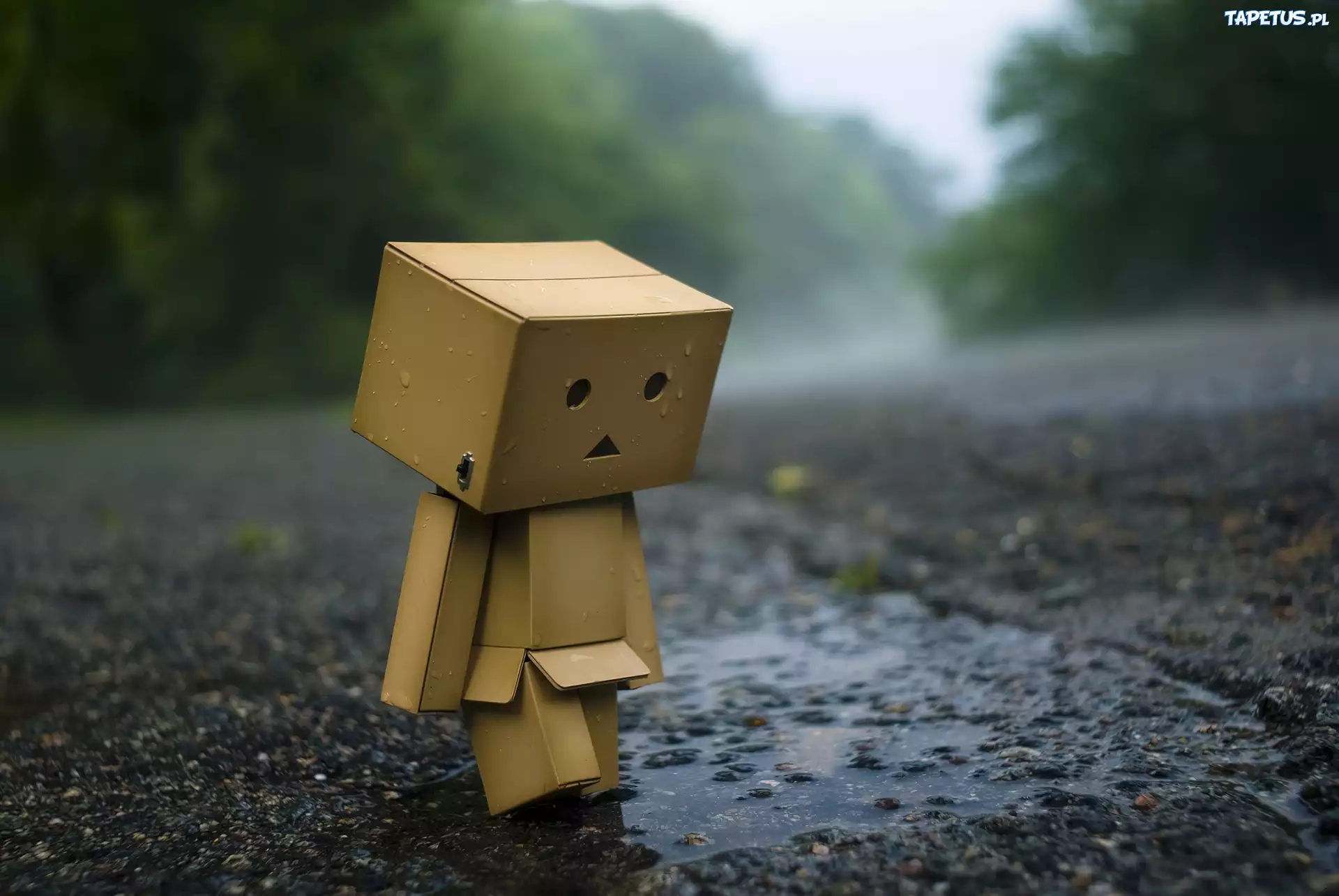 Deszczowa, Pogoda, Droga, Danbo