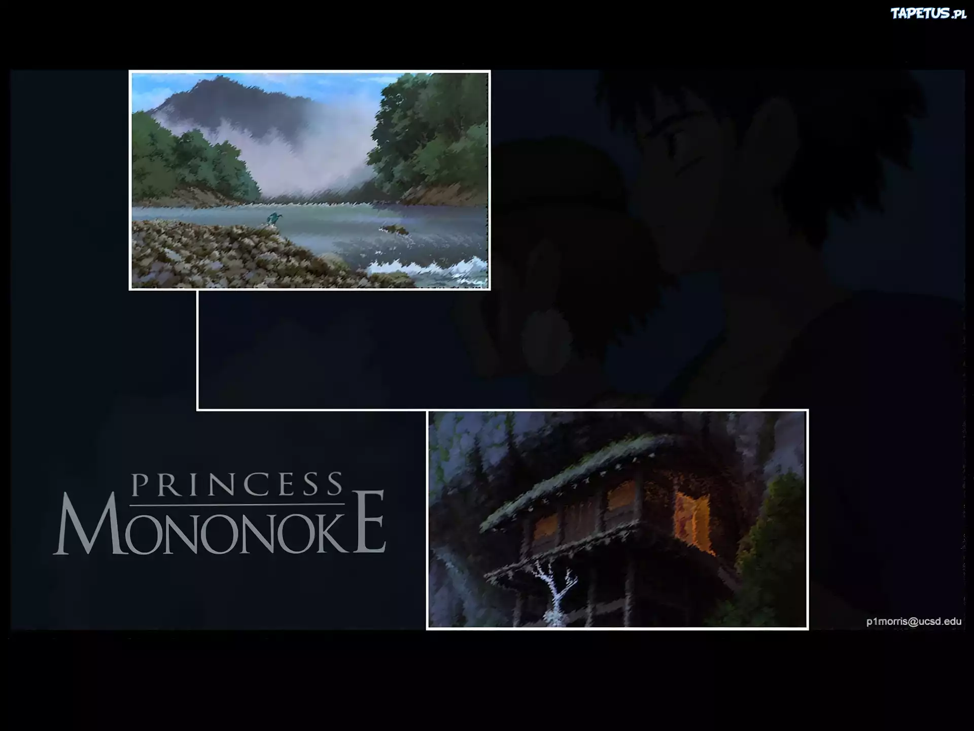 Mononoke Hime, domek, wodospad