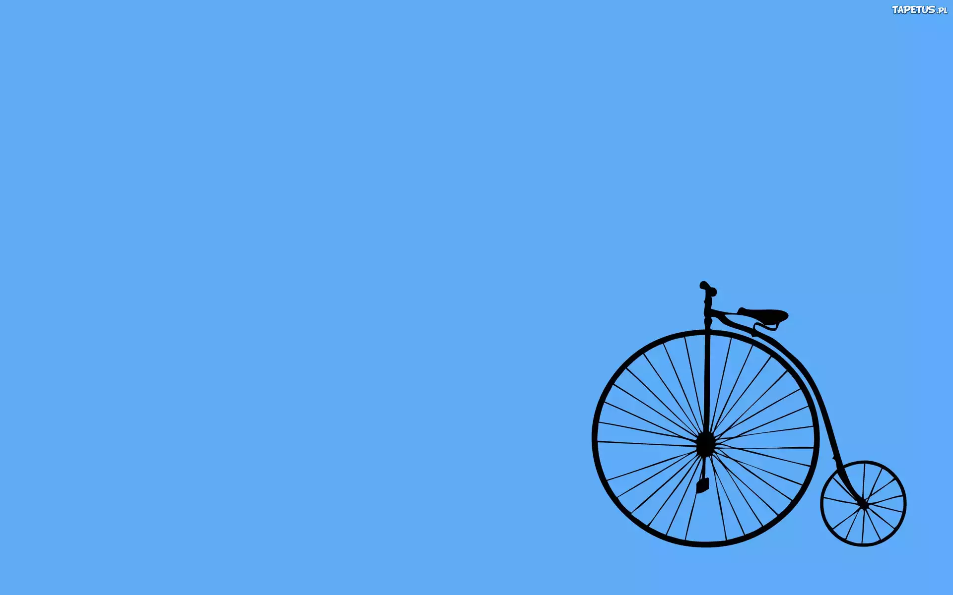 Bicykl, Duże, Przednie, Koło