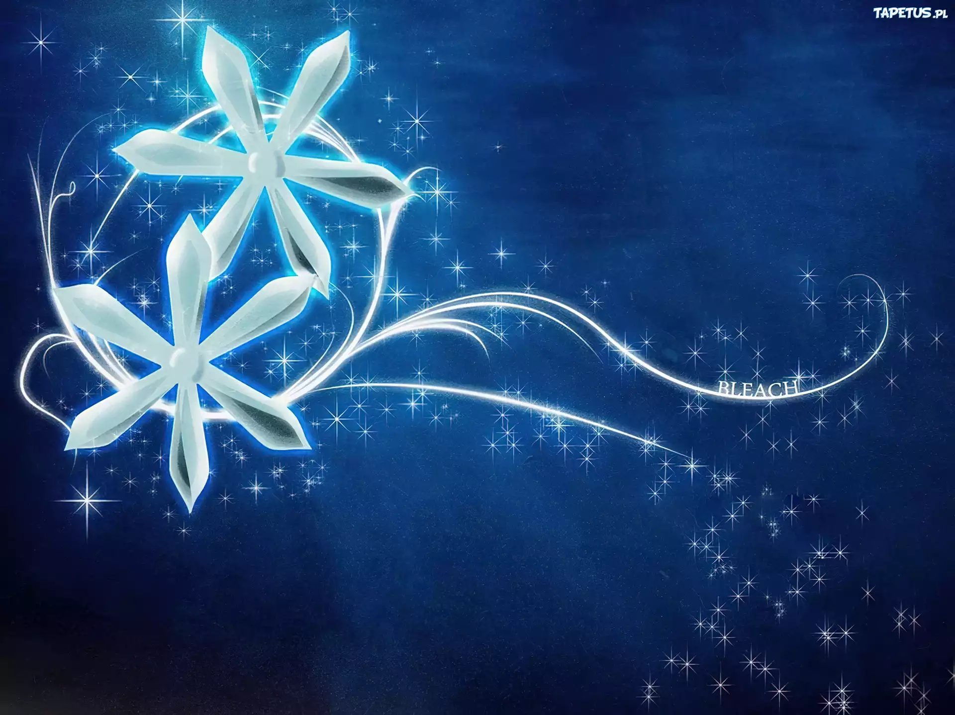 Spinki, Inoue, Bleach