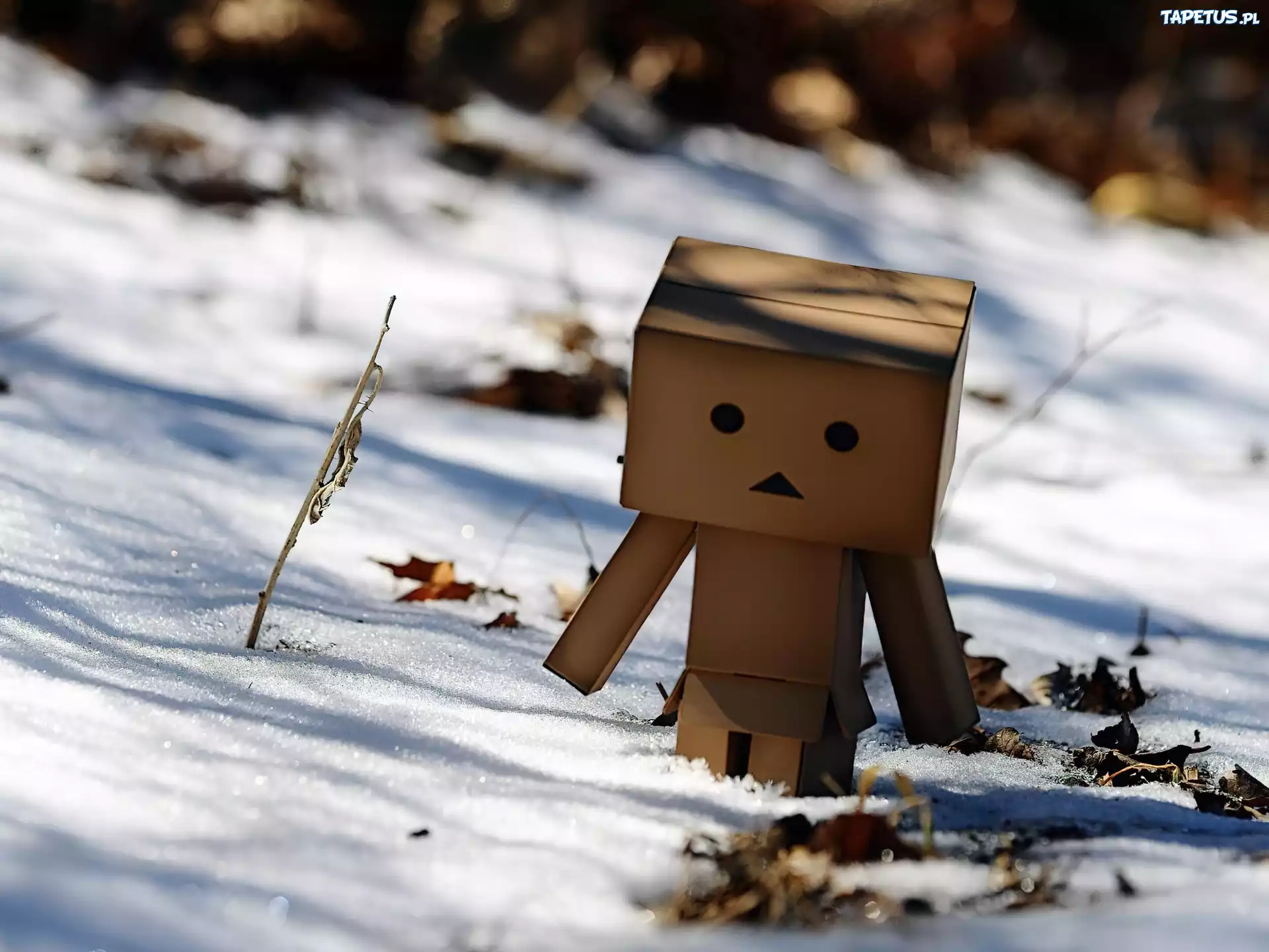 Kartonowy, Ludzik, Danbo, Zima