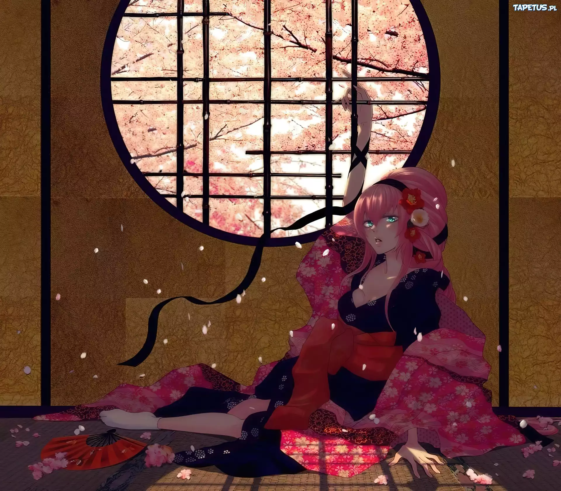 Vocaloid, Gejsza