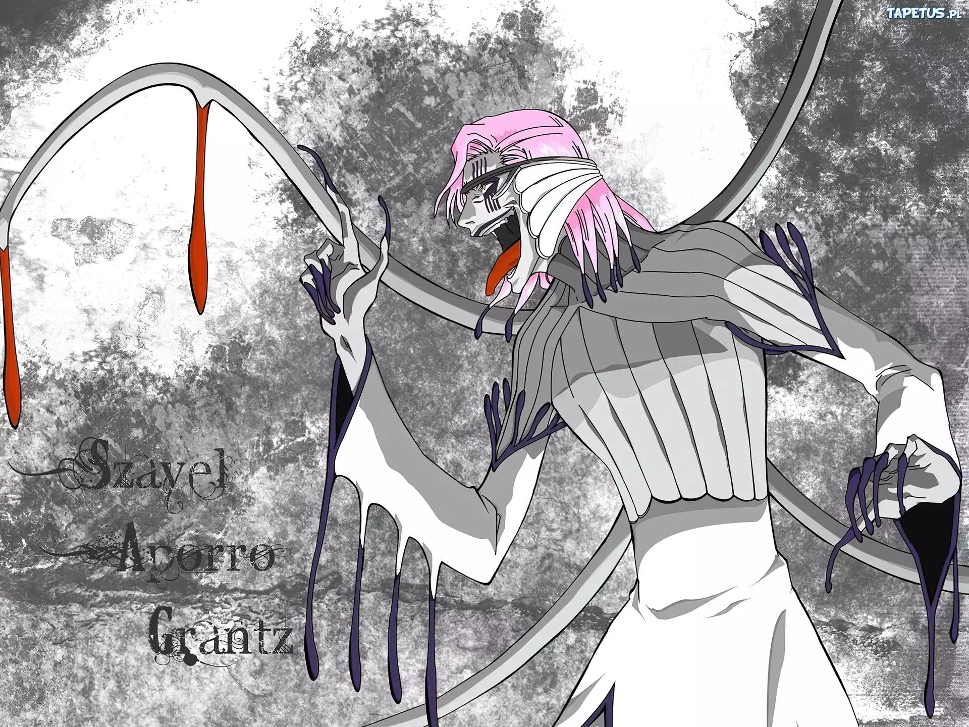 Szayel Aporro Grantz, Ostateczna, Forma