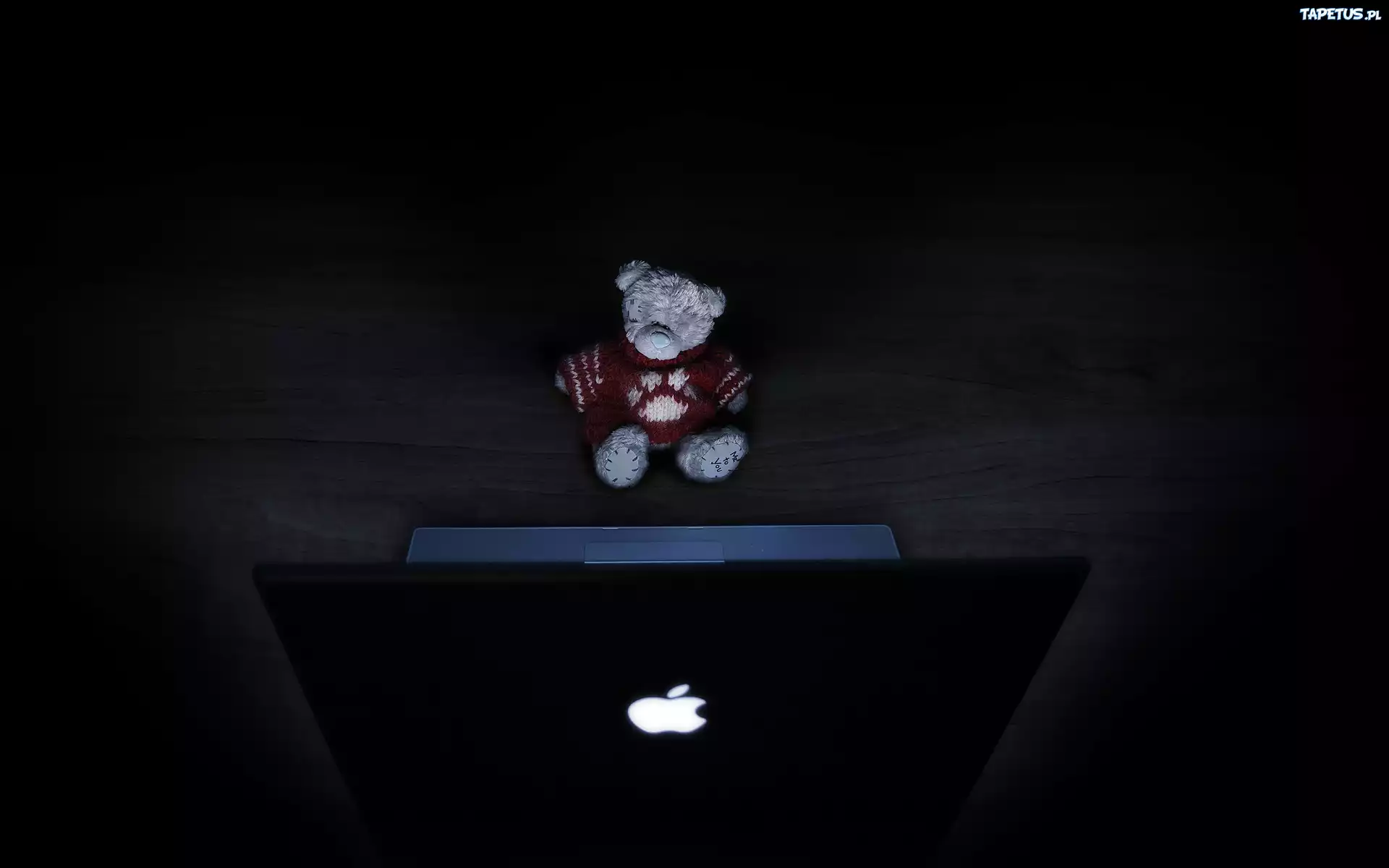 Apple, Hardware, Logo, Miś, Pluszak, Laptop