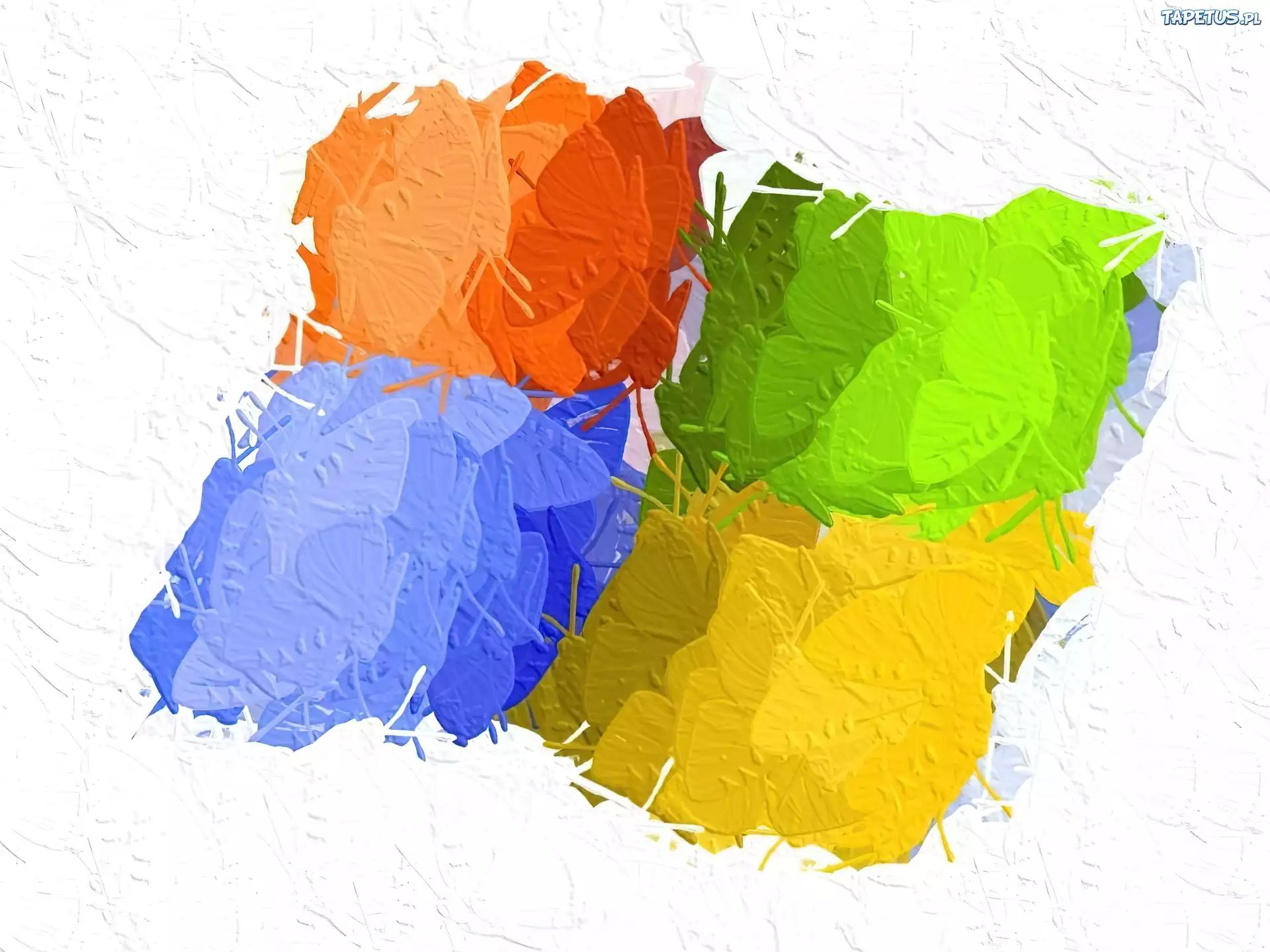 System, Operacyjny, Logo, Windows