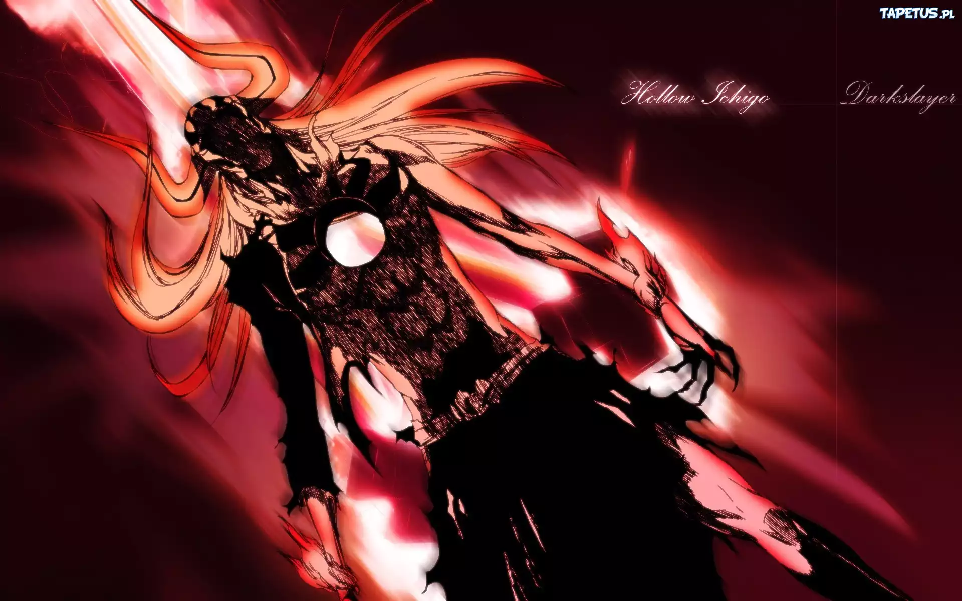 Bleach, Hollow, Ichigo