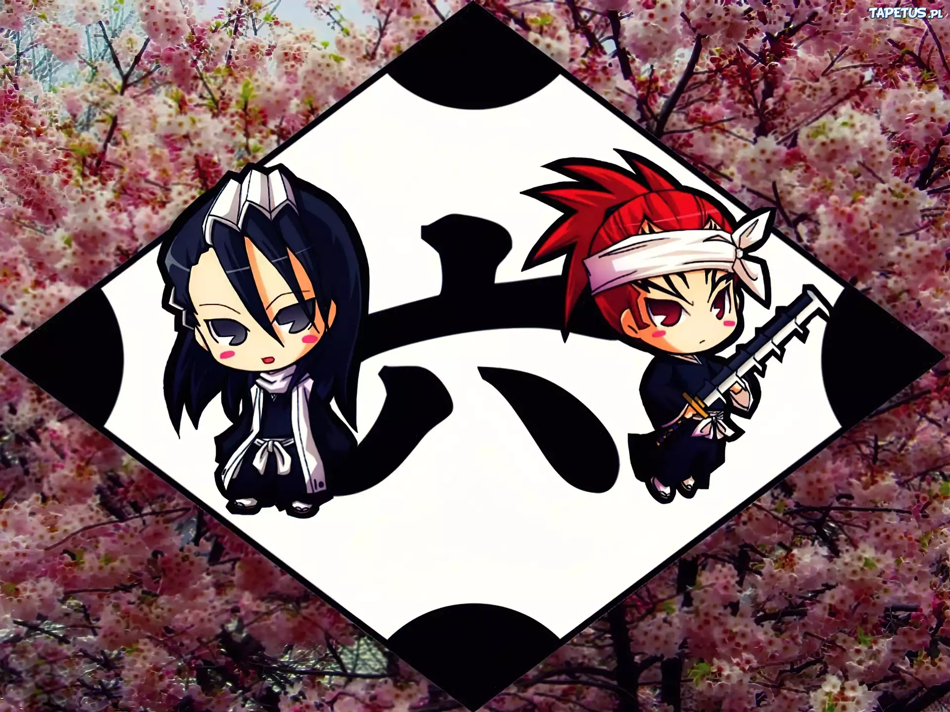 Dywizja 6, Kuchiki, Abarai