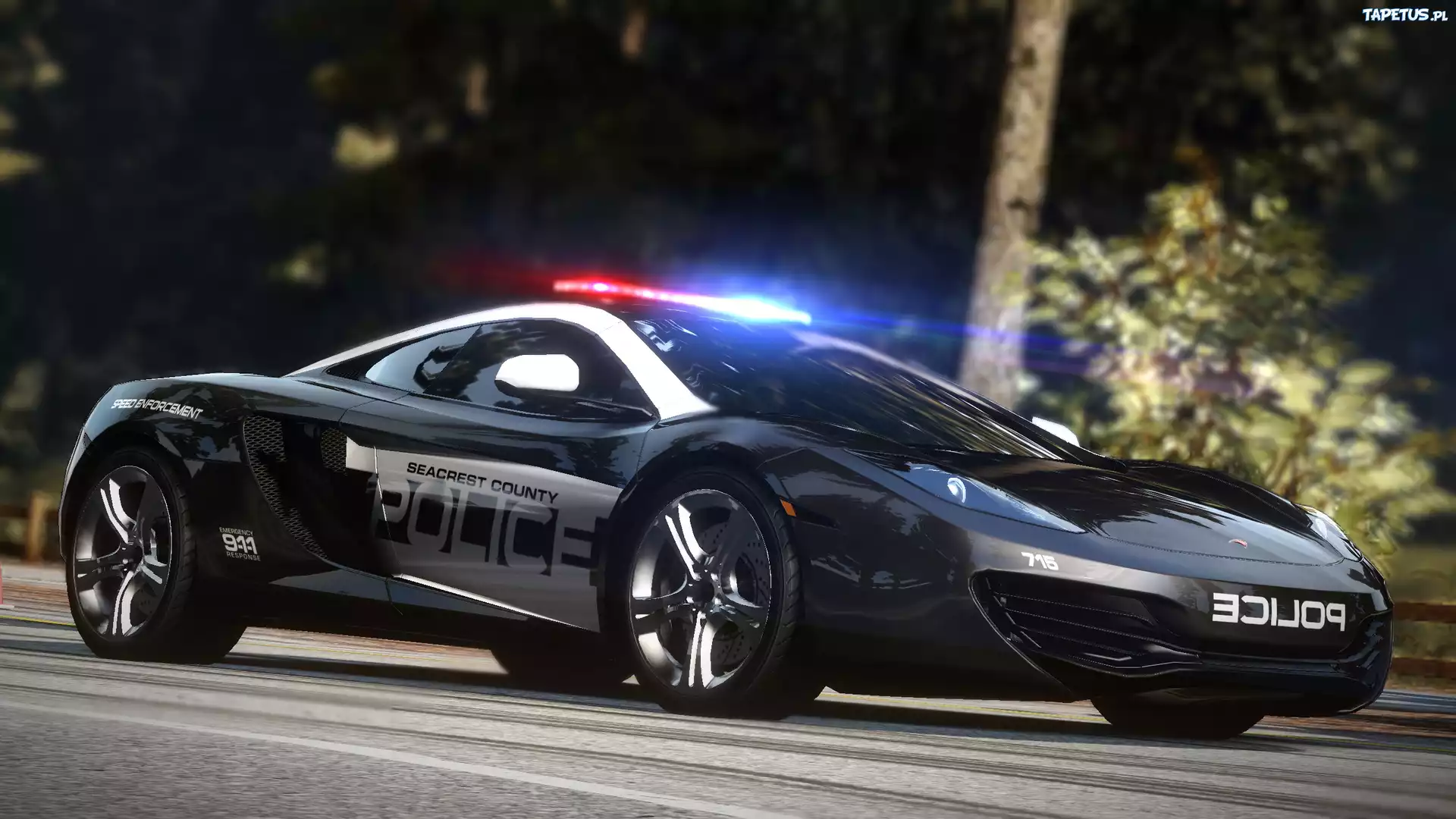 Need for Speed Hot Pursuit, Policja