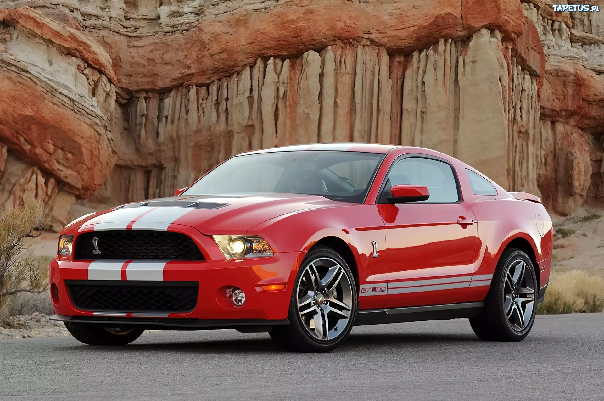 Ford Mustang GT500, Shelby