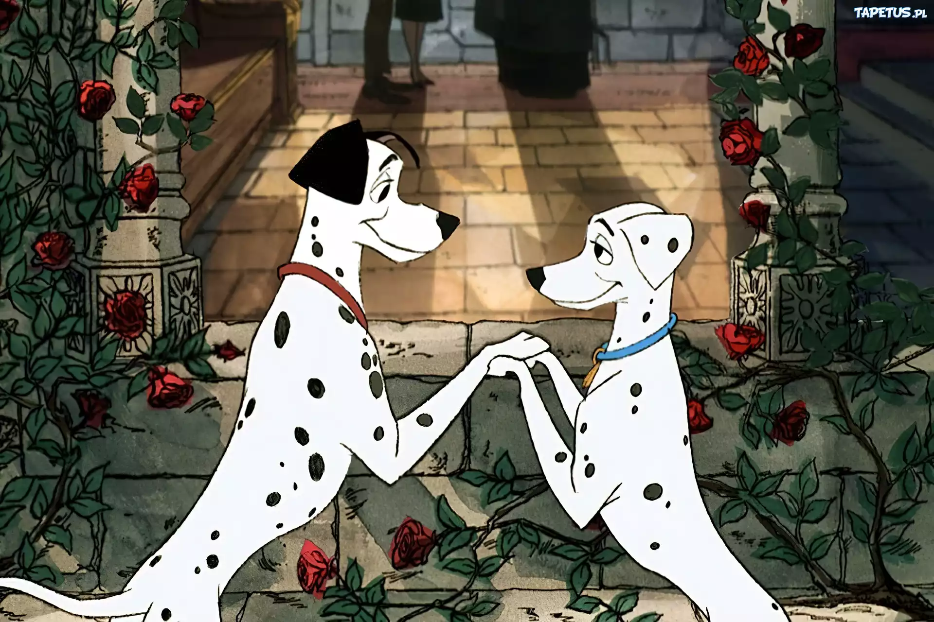 Bajka, Disney, 101 Dalmatyńczyków