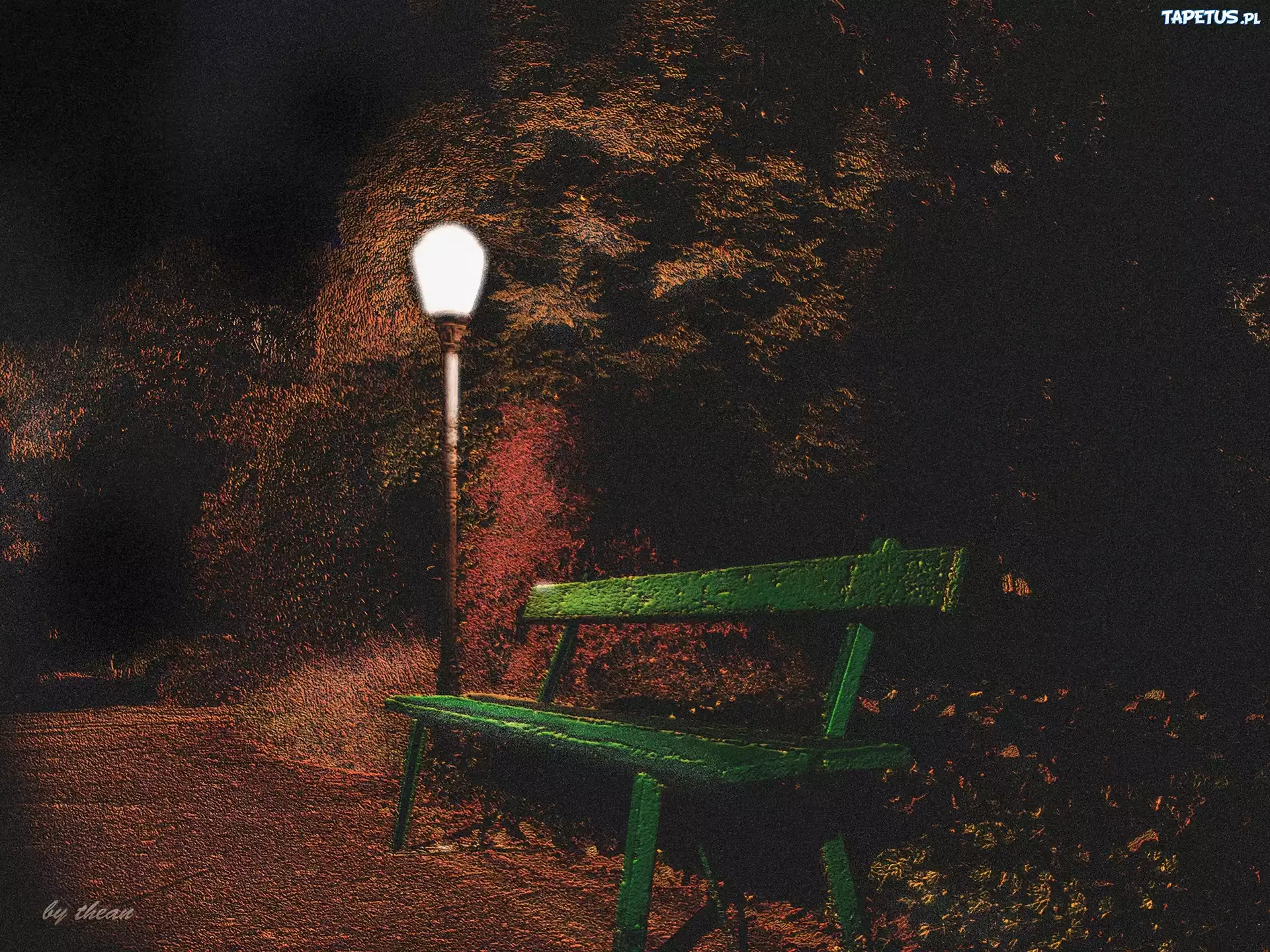 Park, Nocą, Latarnia, Zielona, Ławeczka