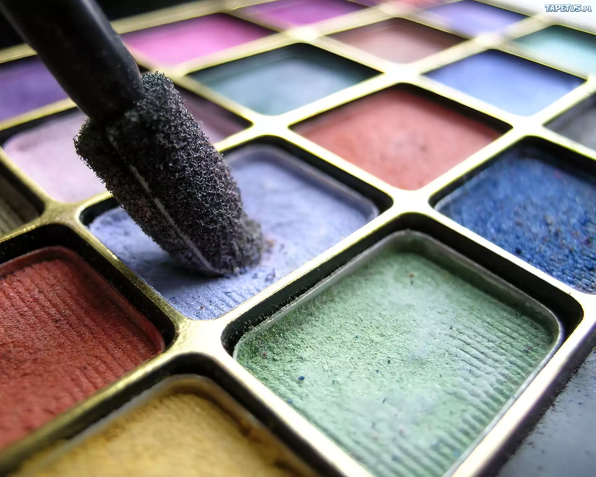 Paleta, Cieni, Makijaż, Eye Shadow