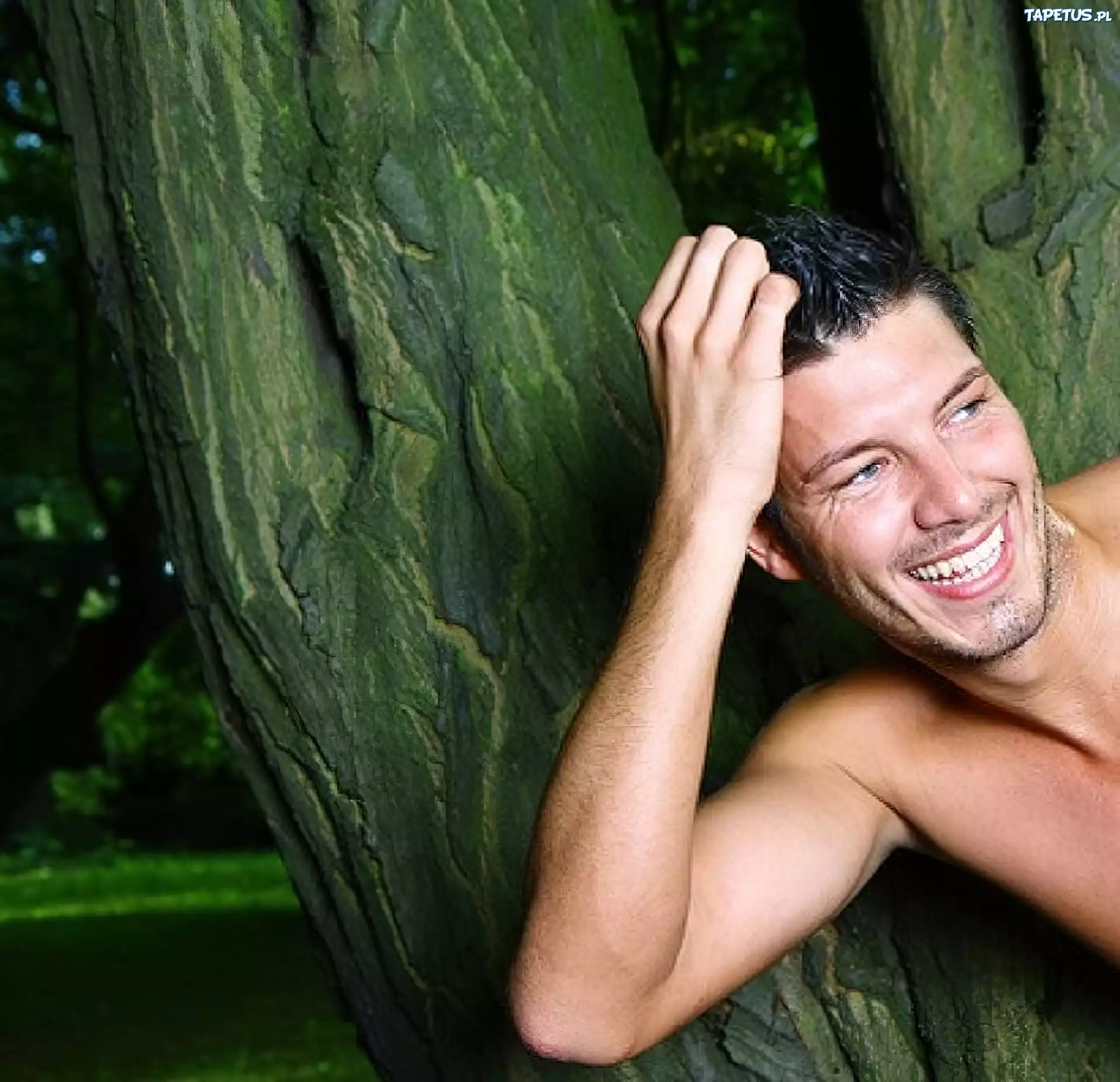 Mężczyzna, Model, Drzewo