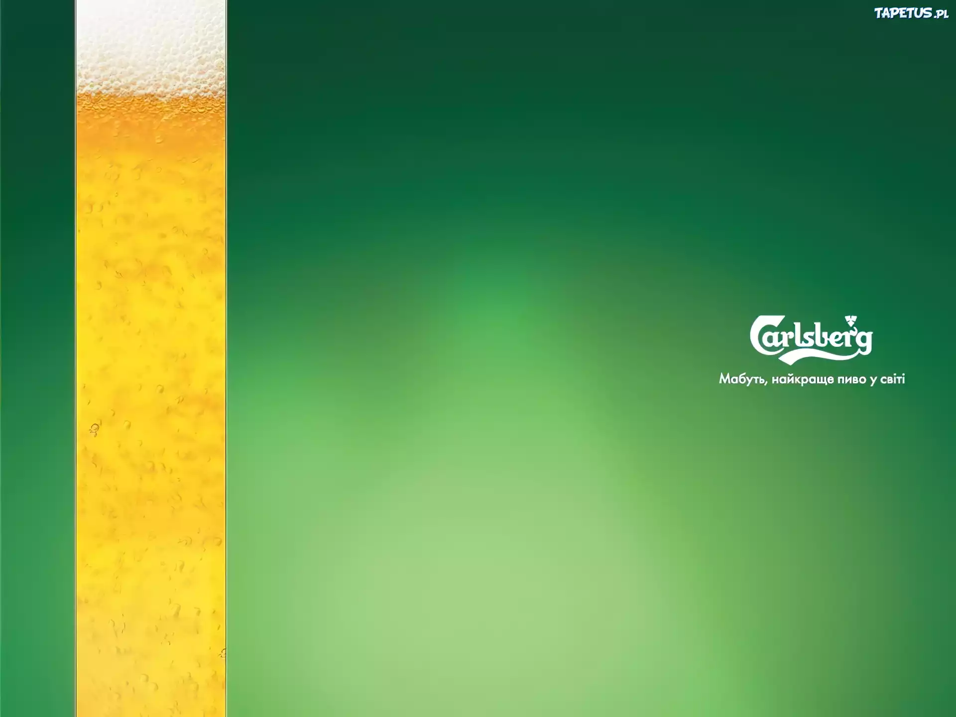 Piwo, Calsberg, Zielone, Tło, Znak, Firmowy