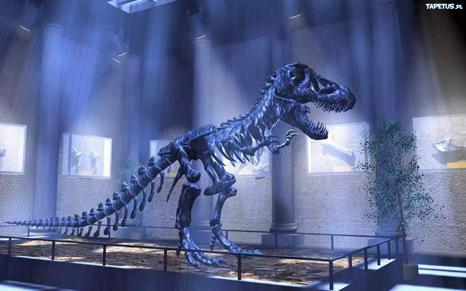 Wystawa, Szkielet, Dinozaura