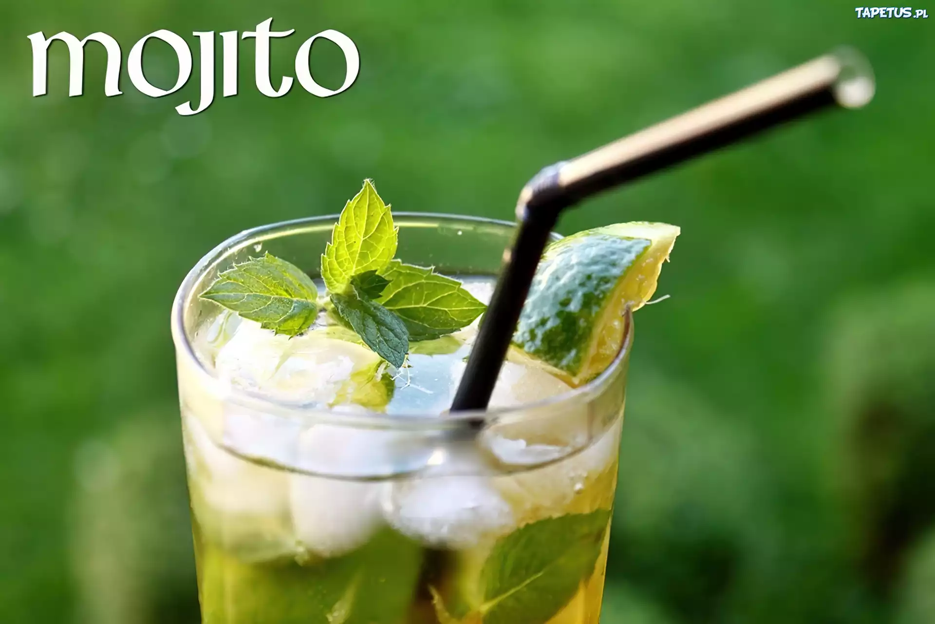 Drink, Mojito