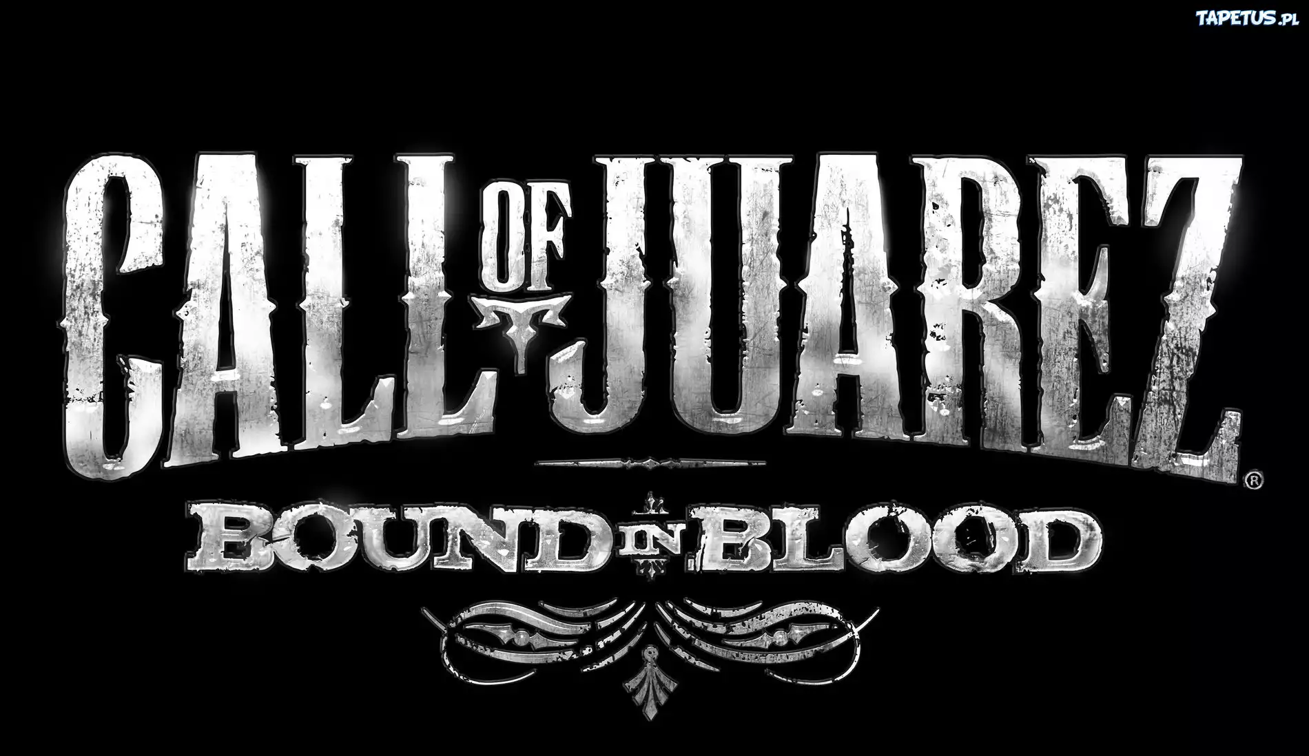 Logo, Call Of Juarez