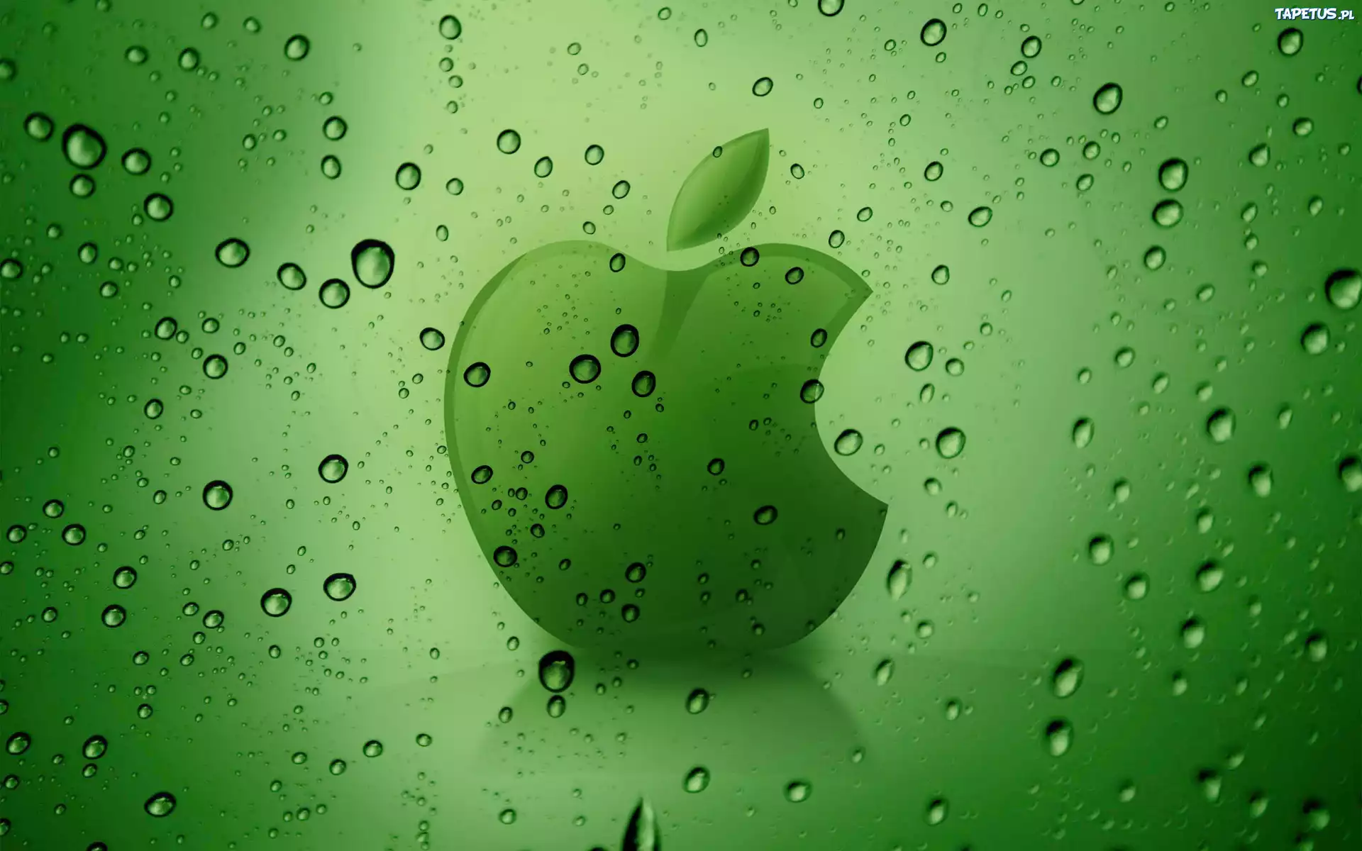 Logo, Apple, Zielone, Tło, Rosa