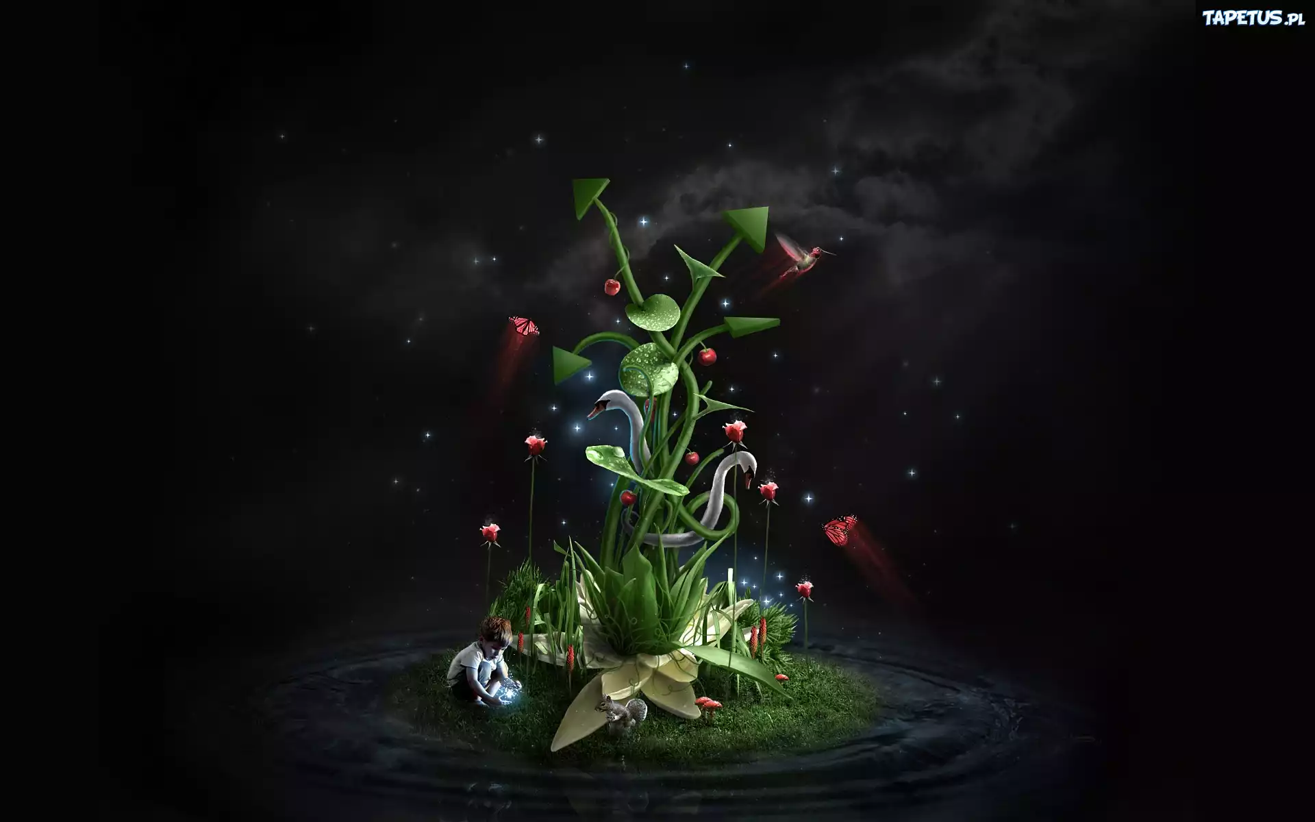 Chłopiec, Roślina, Fantasy