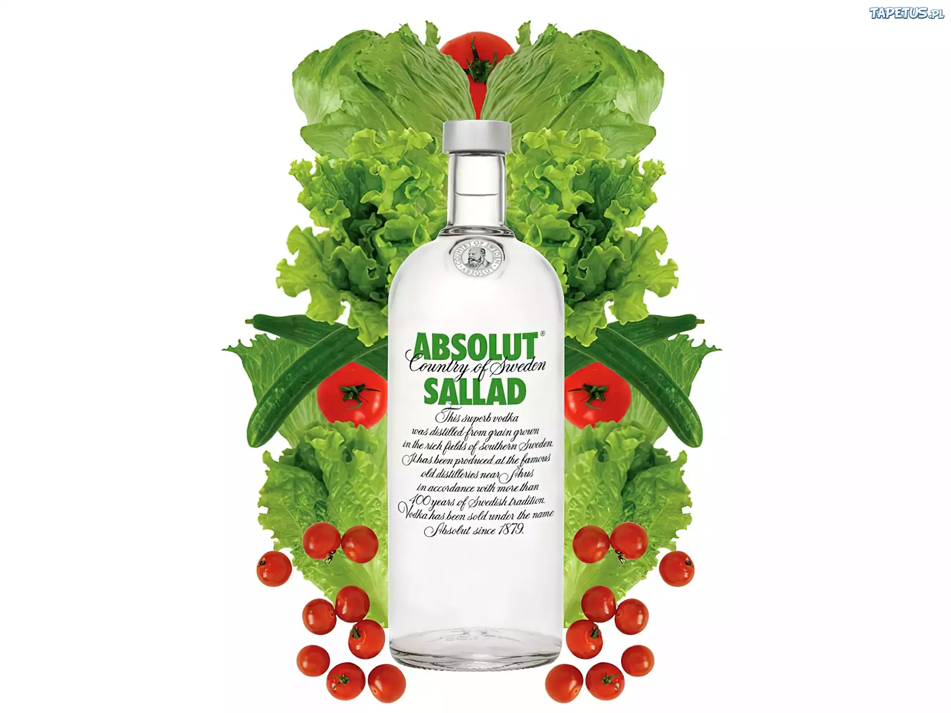 Wódka, Absolut, Sallad, Ogórki