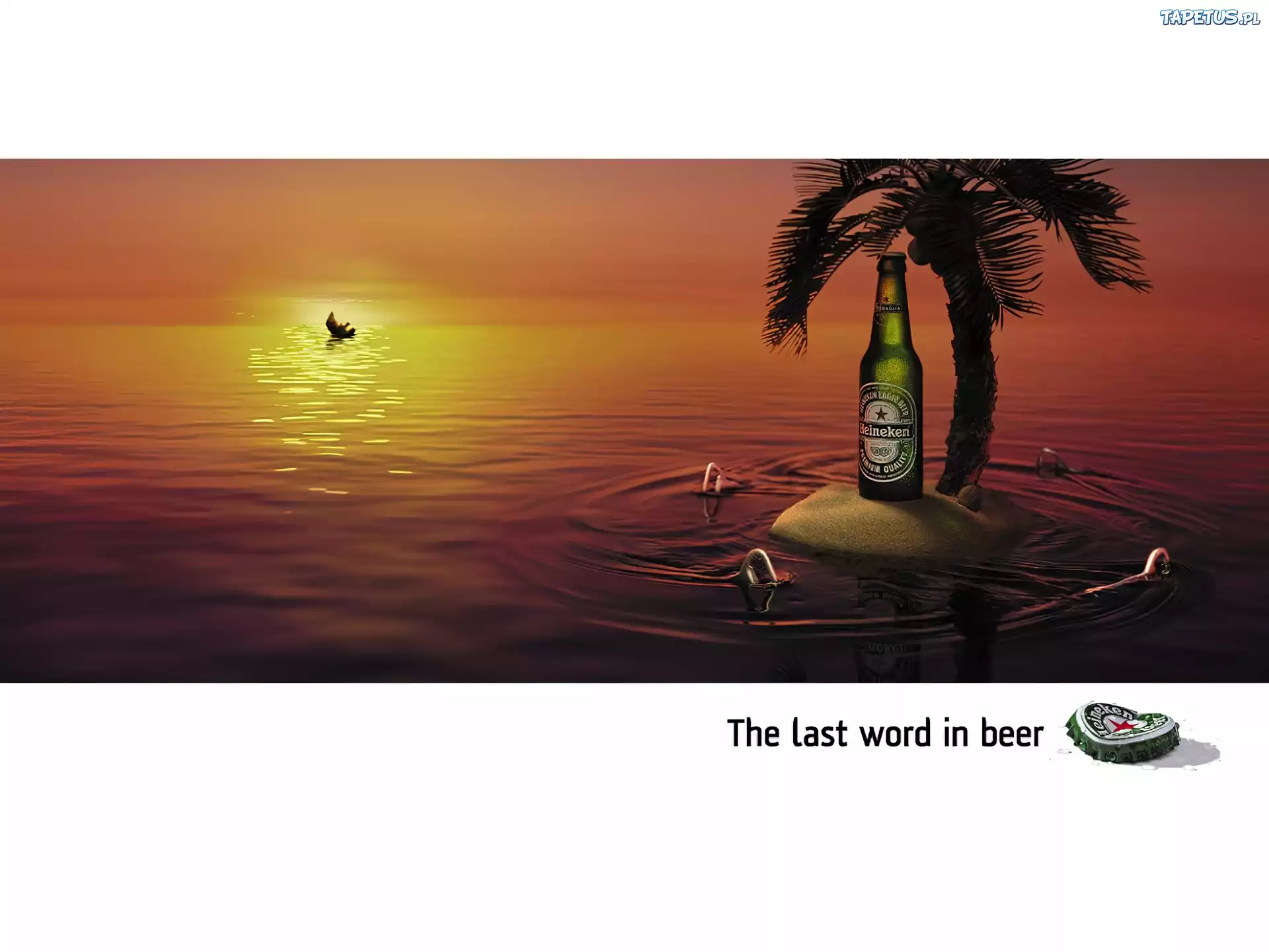 Piwo, Heineken, Palma