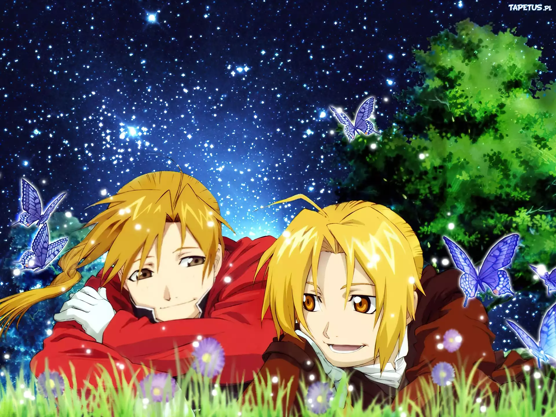 Edward, Alphonse, Łąka, Motyle