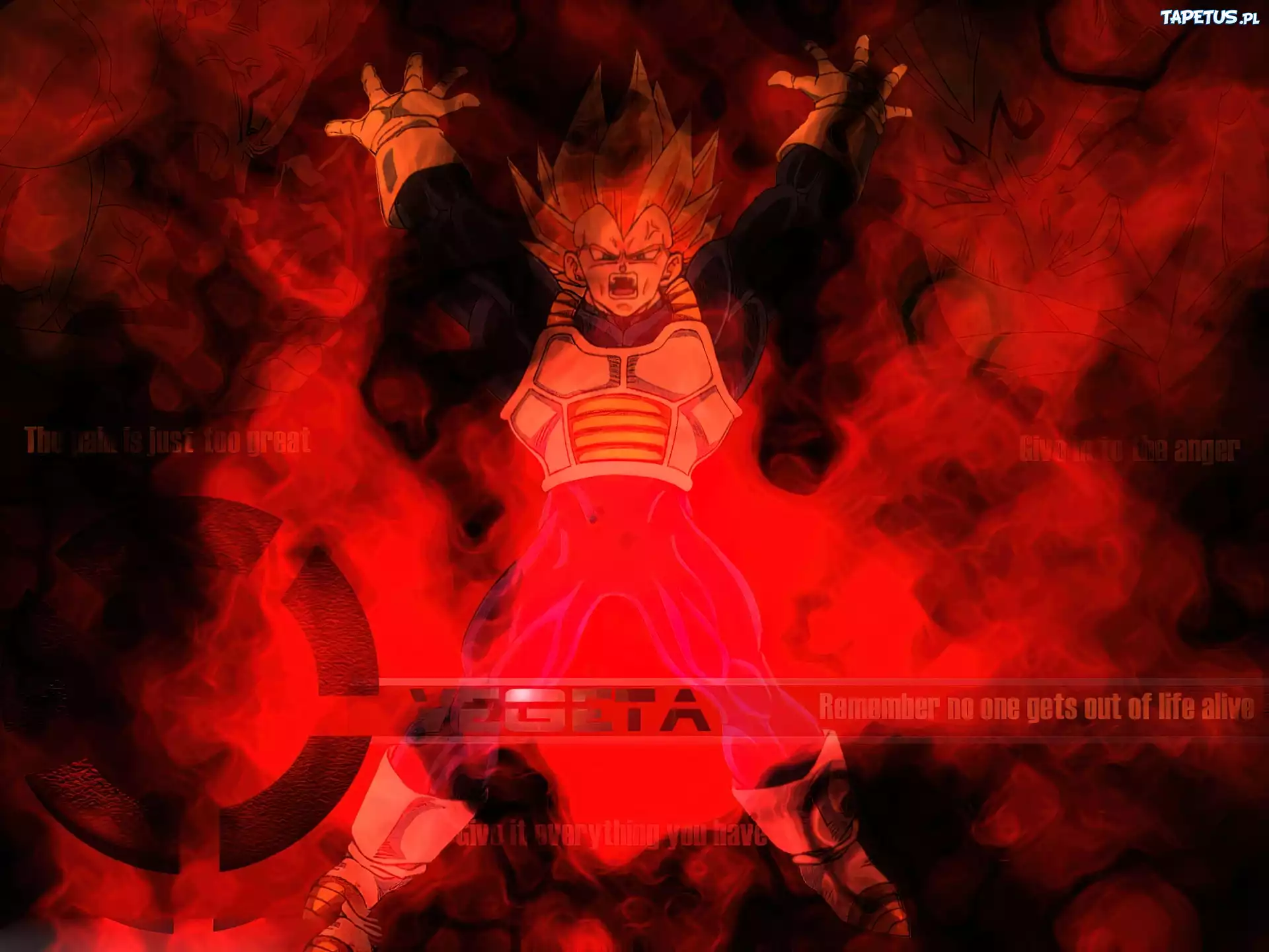 Dragon Ball Z, Vegeta