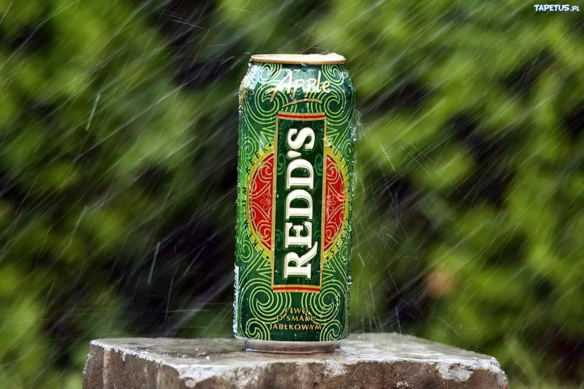 Redds, Puszka