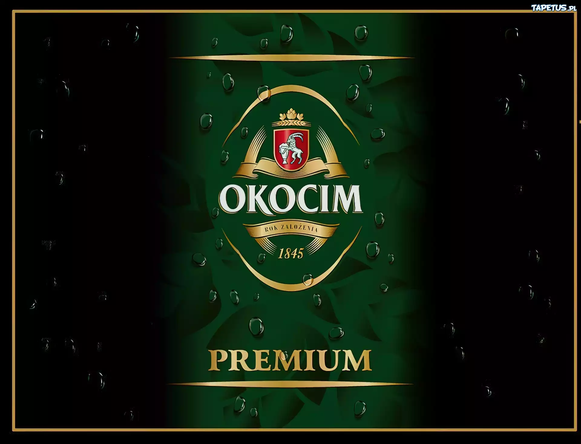 Okocim, Premium, Logo