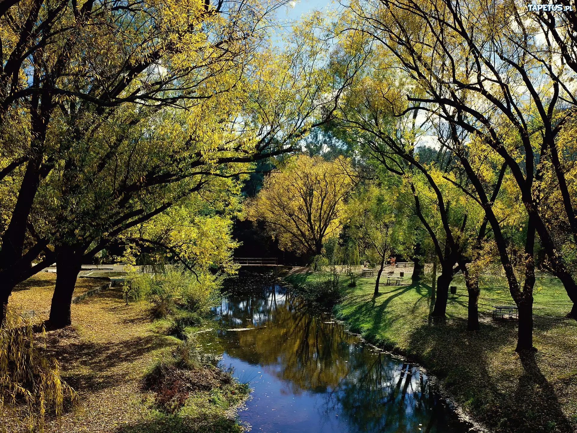 Park, Morses, Creek, Wiosna