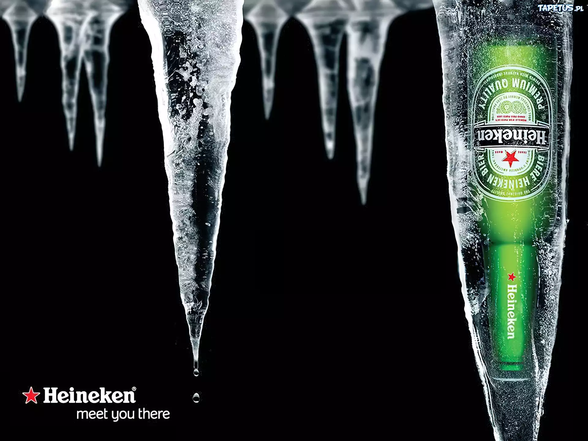 Butelka, Heineken, Sople, Lodu