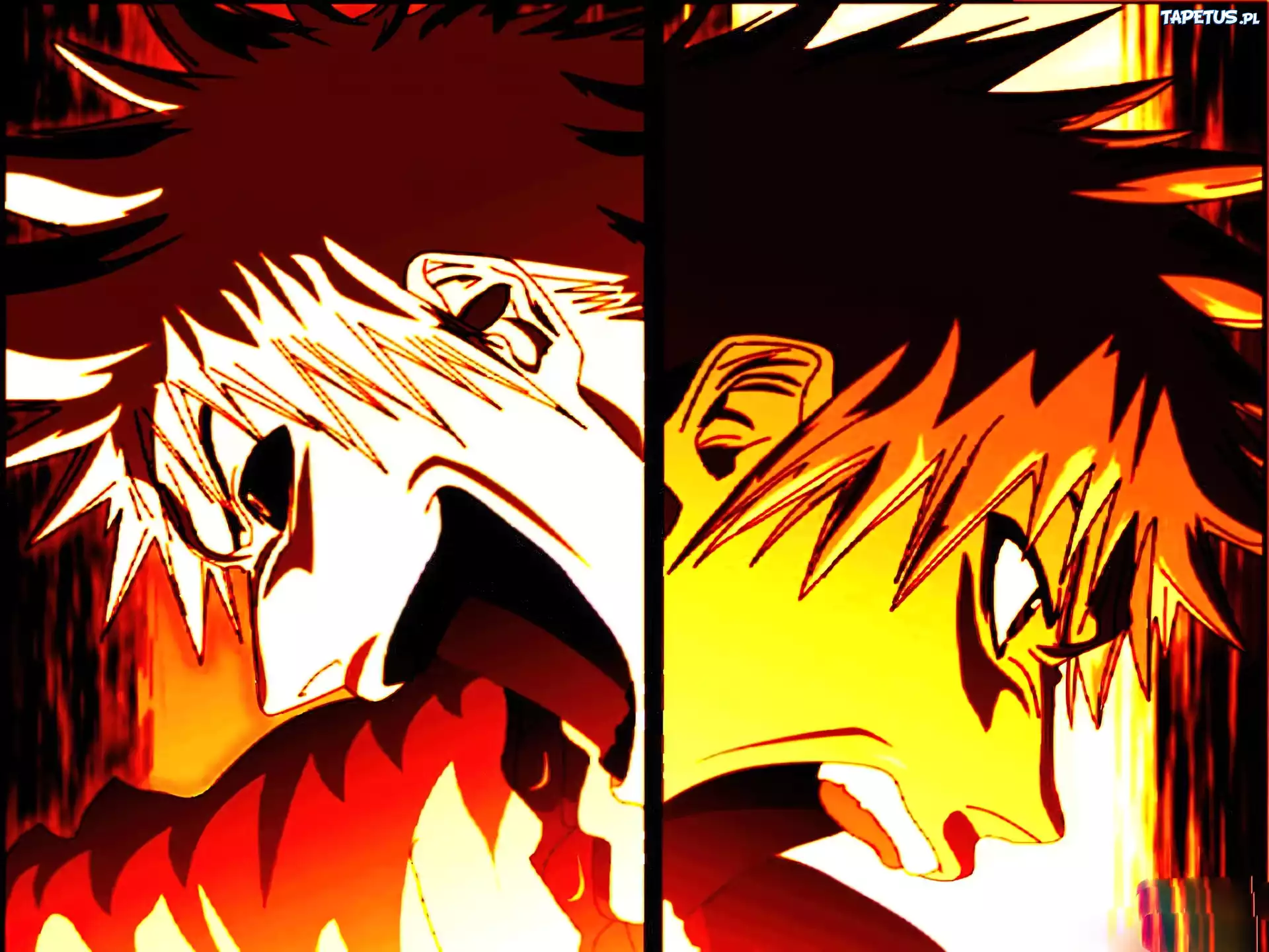 Ichigo, Hollow, Bleach