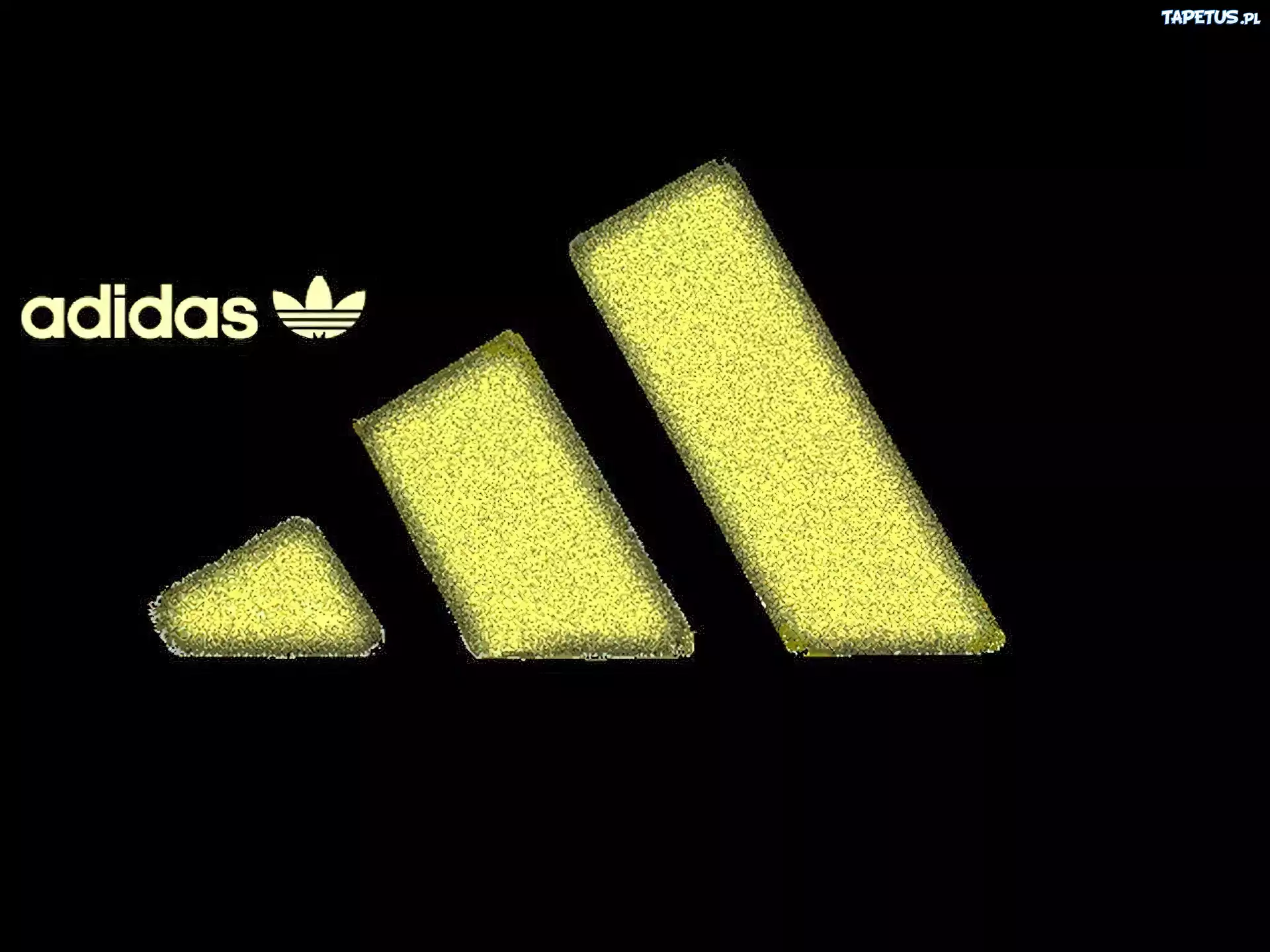 Logo, Adidas, Żółte, Paski