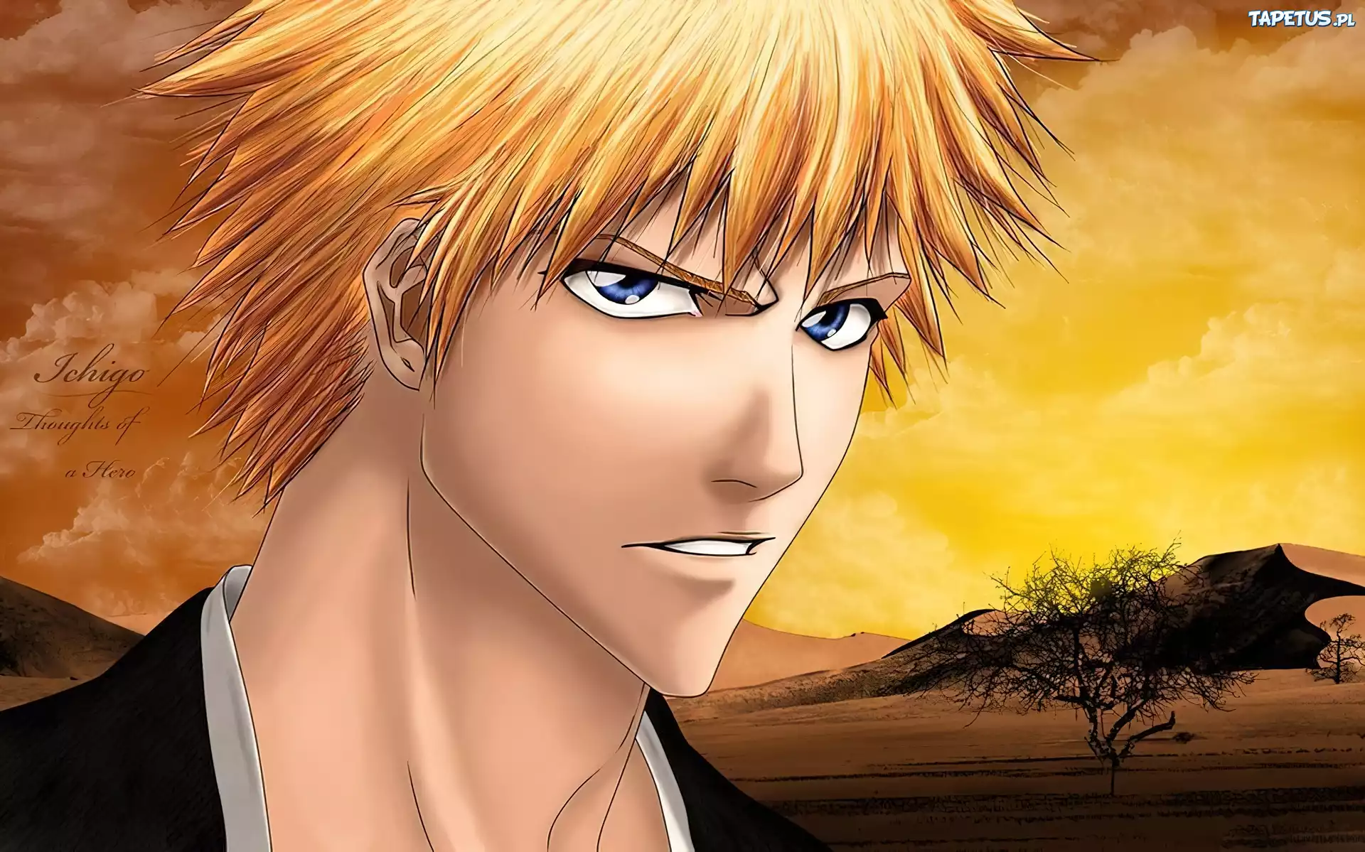 Bleach, Ichigo, Twarz